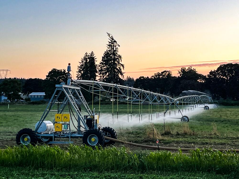 N/A - Farm