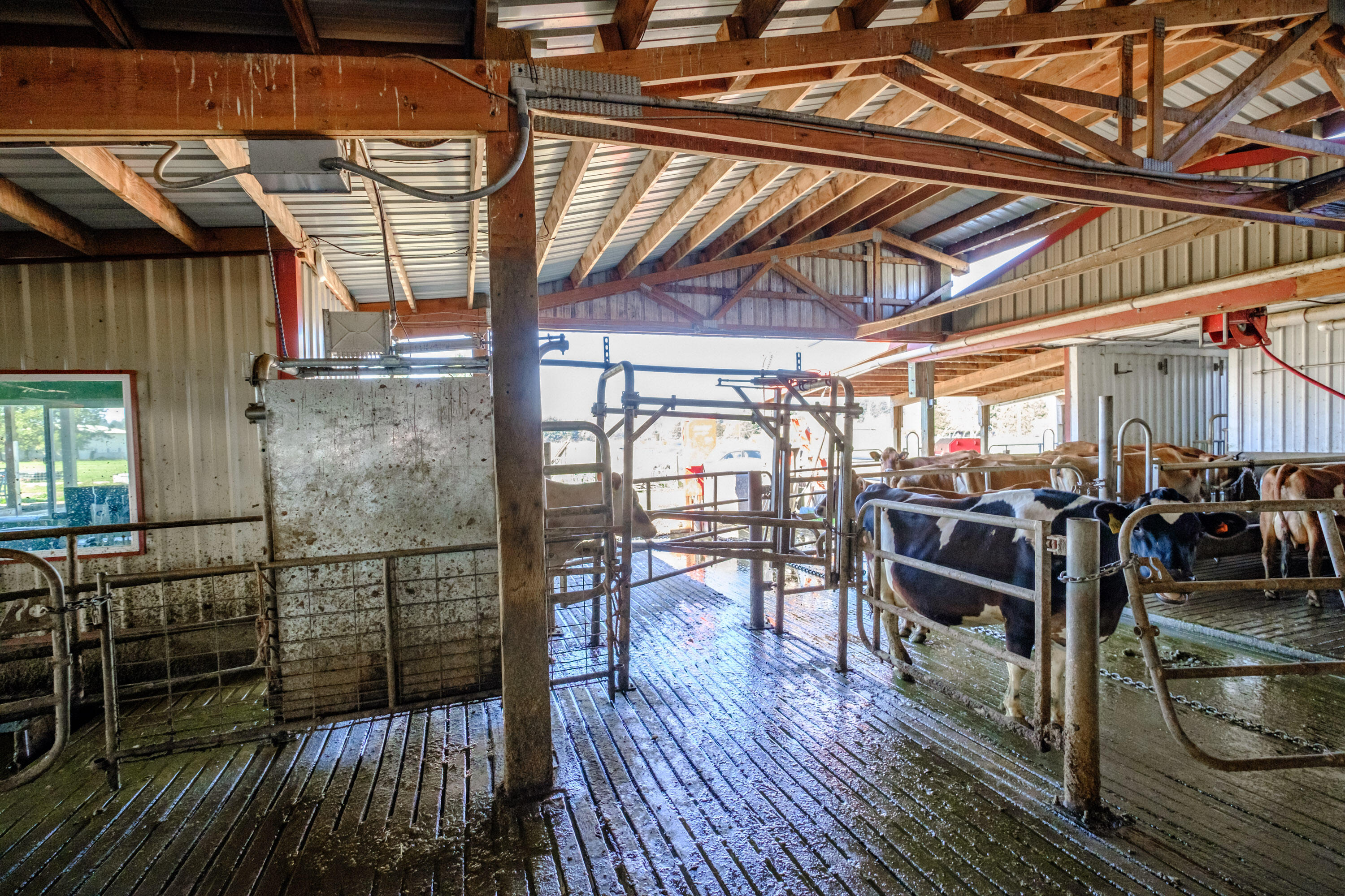 N/A - Farm