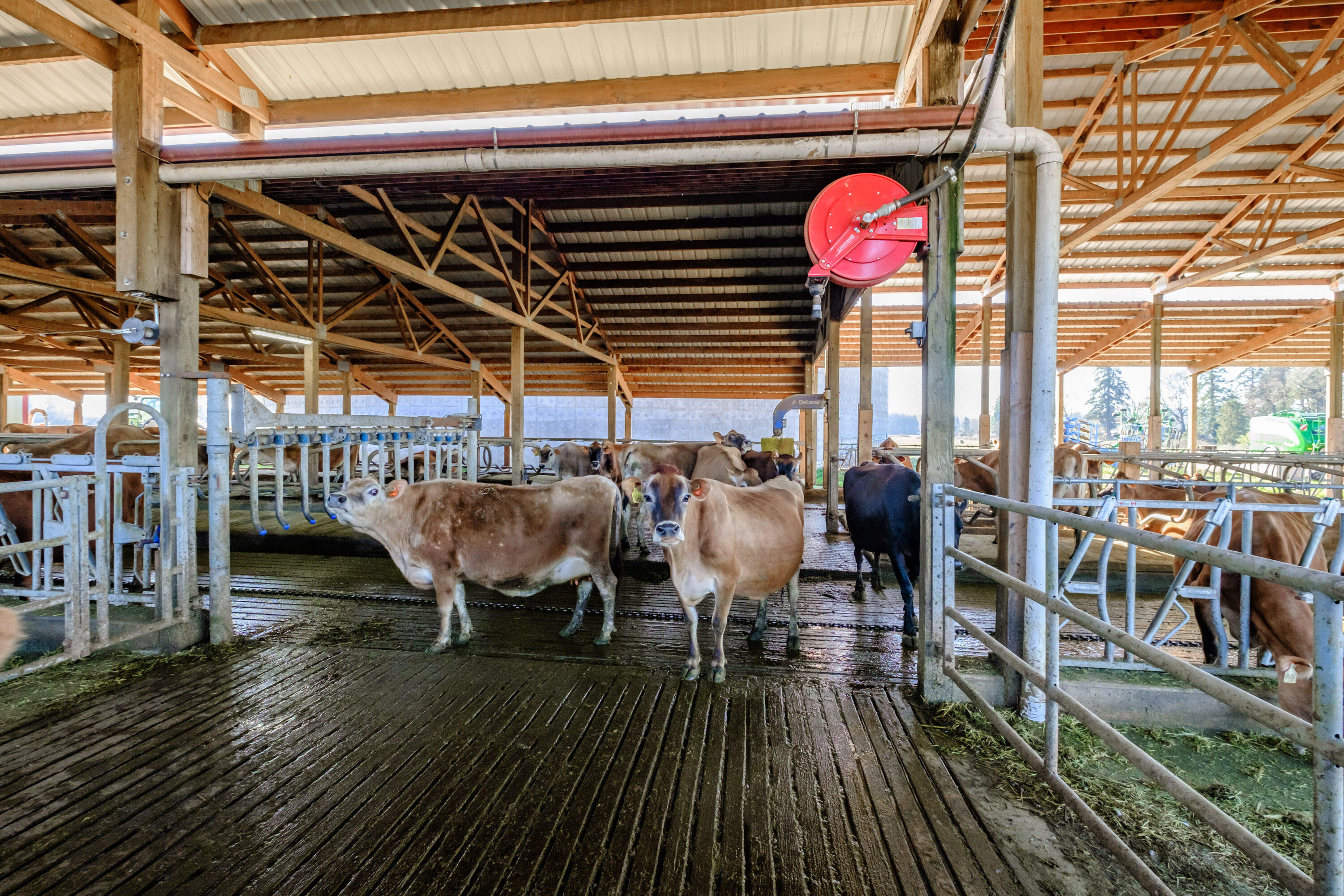 N/A - Farm