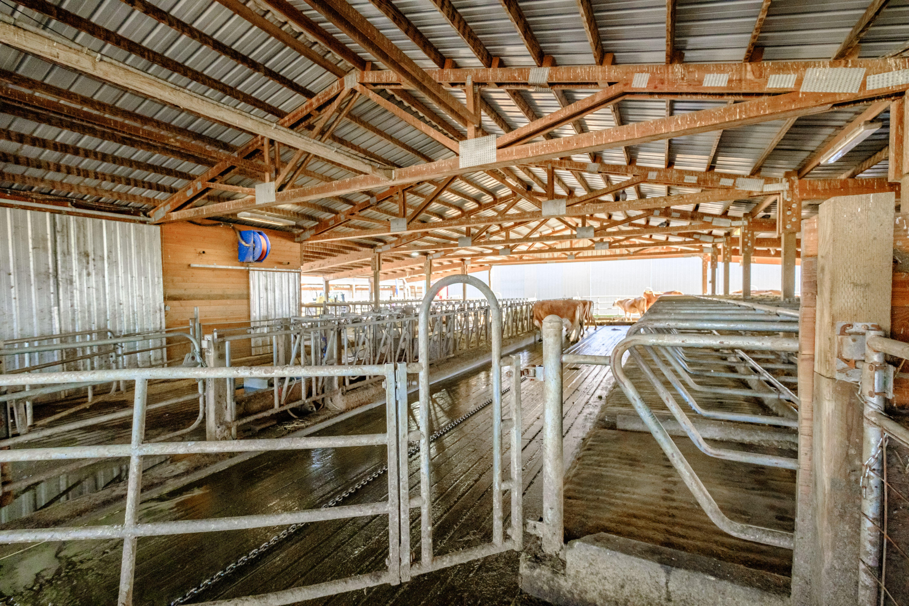 N/A - Farm