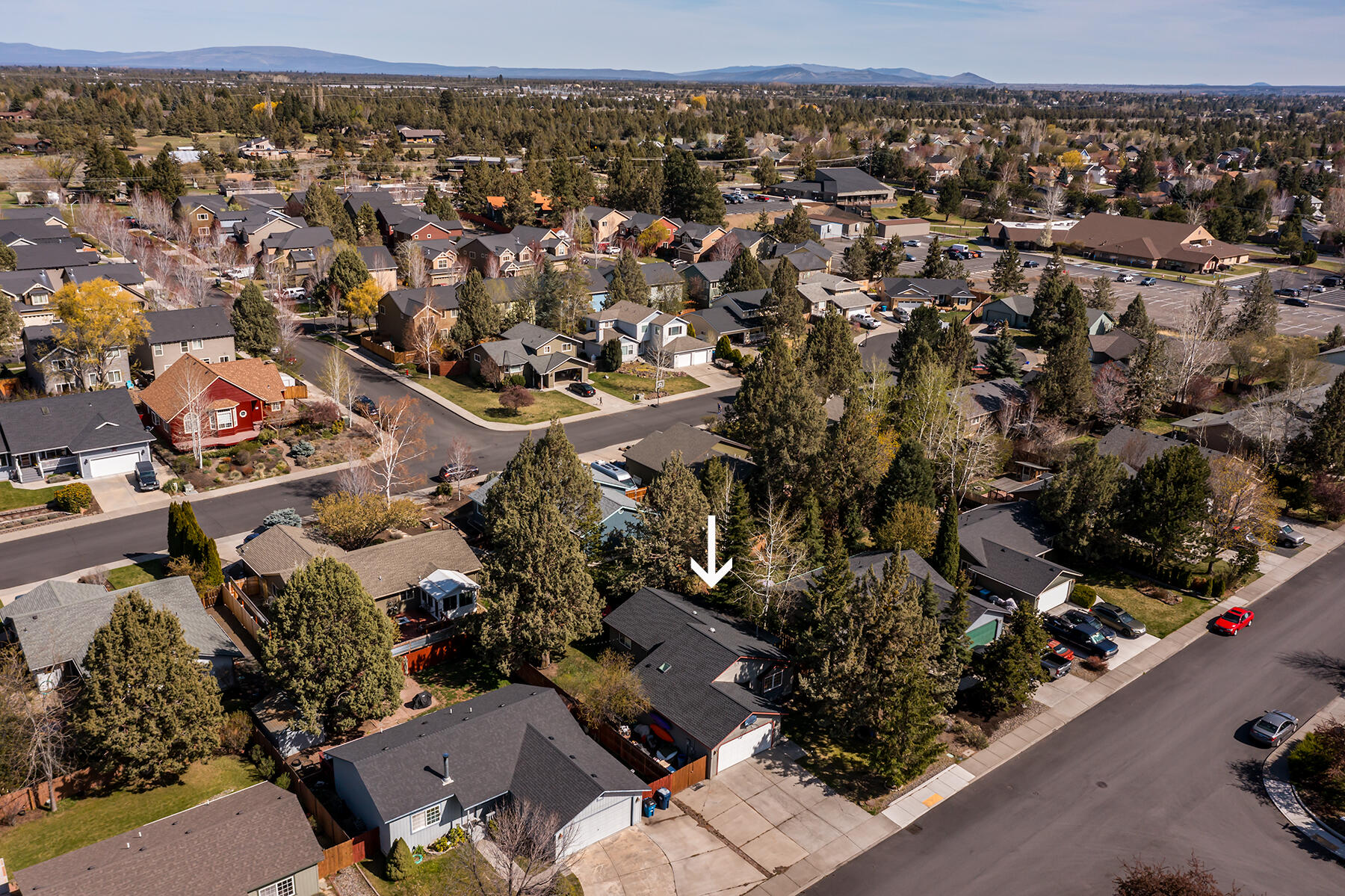 Timberline - Residential