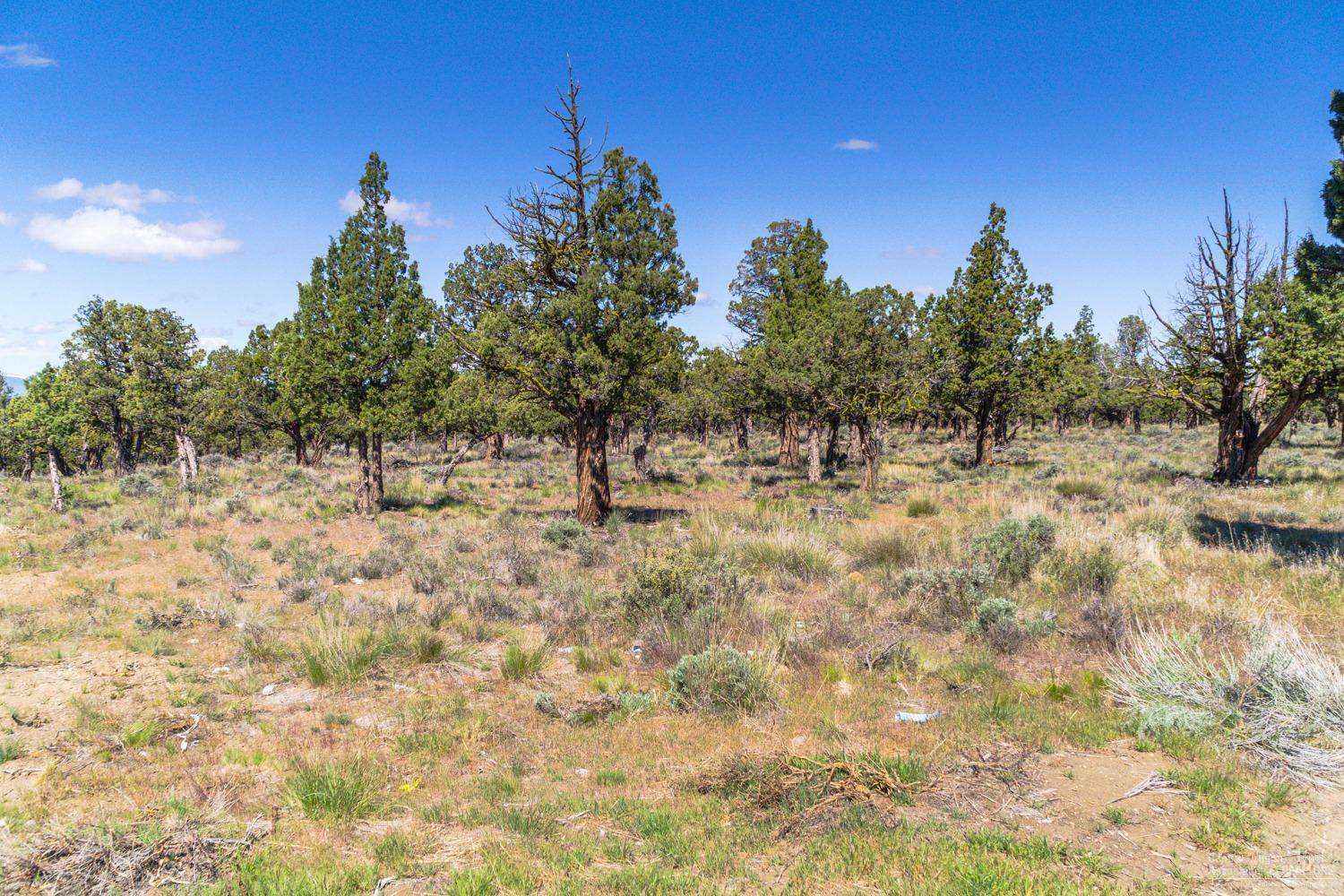Eagle Crest - Land