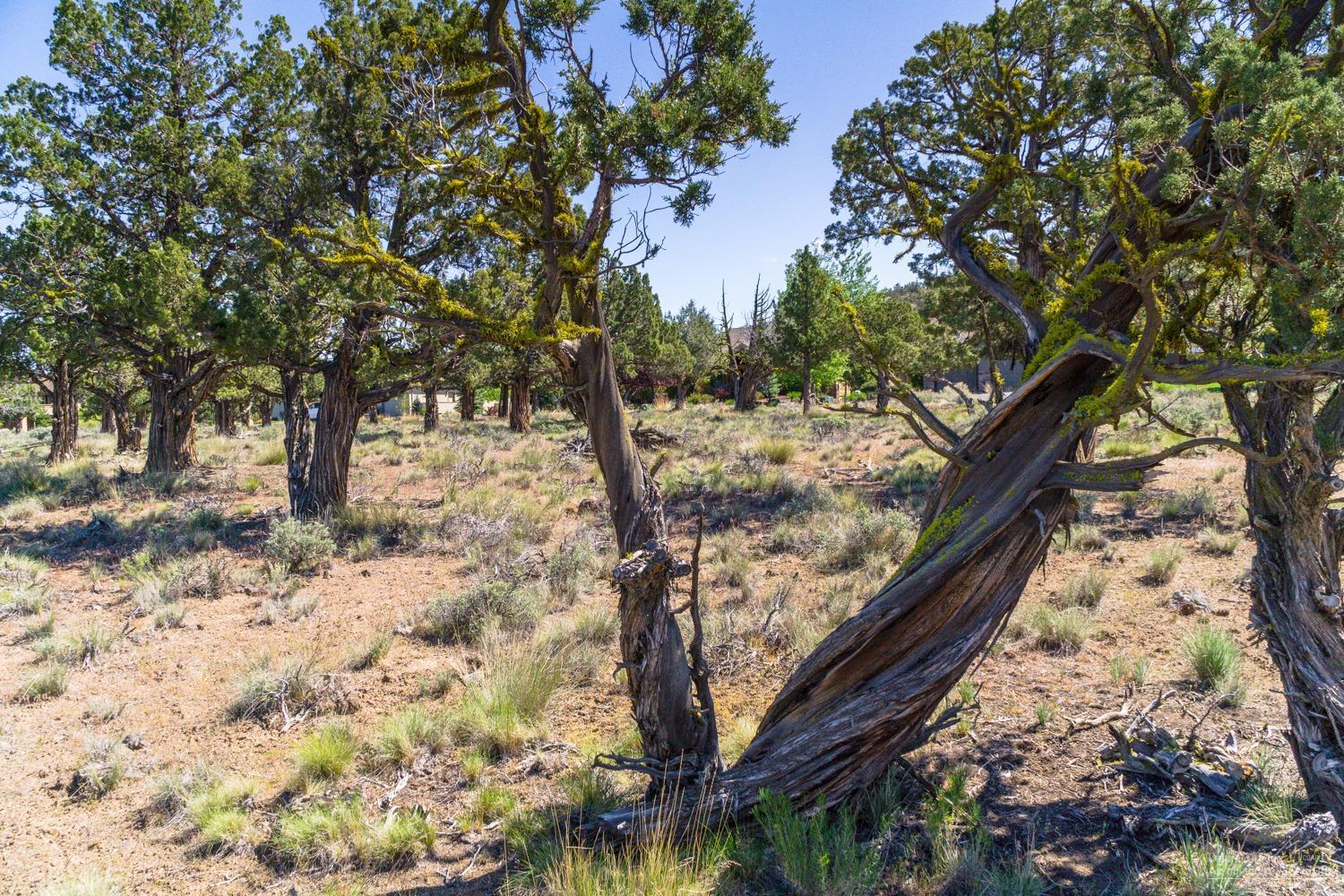Eagle Crest - Land