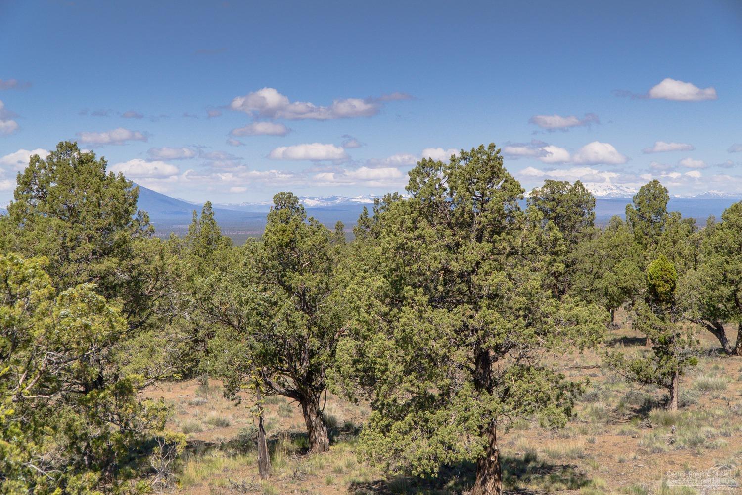 Eagle Crest - Land