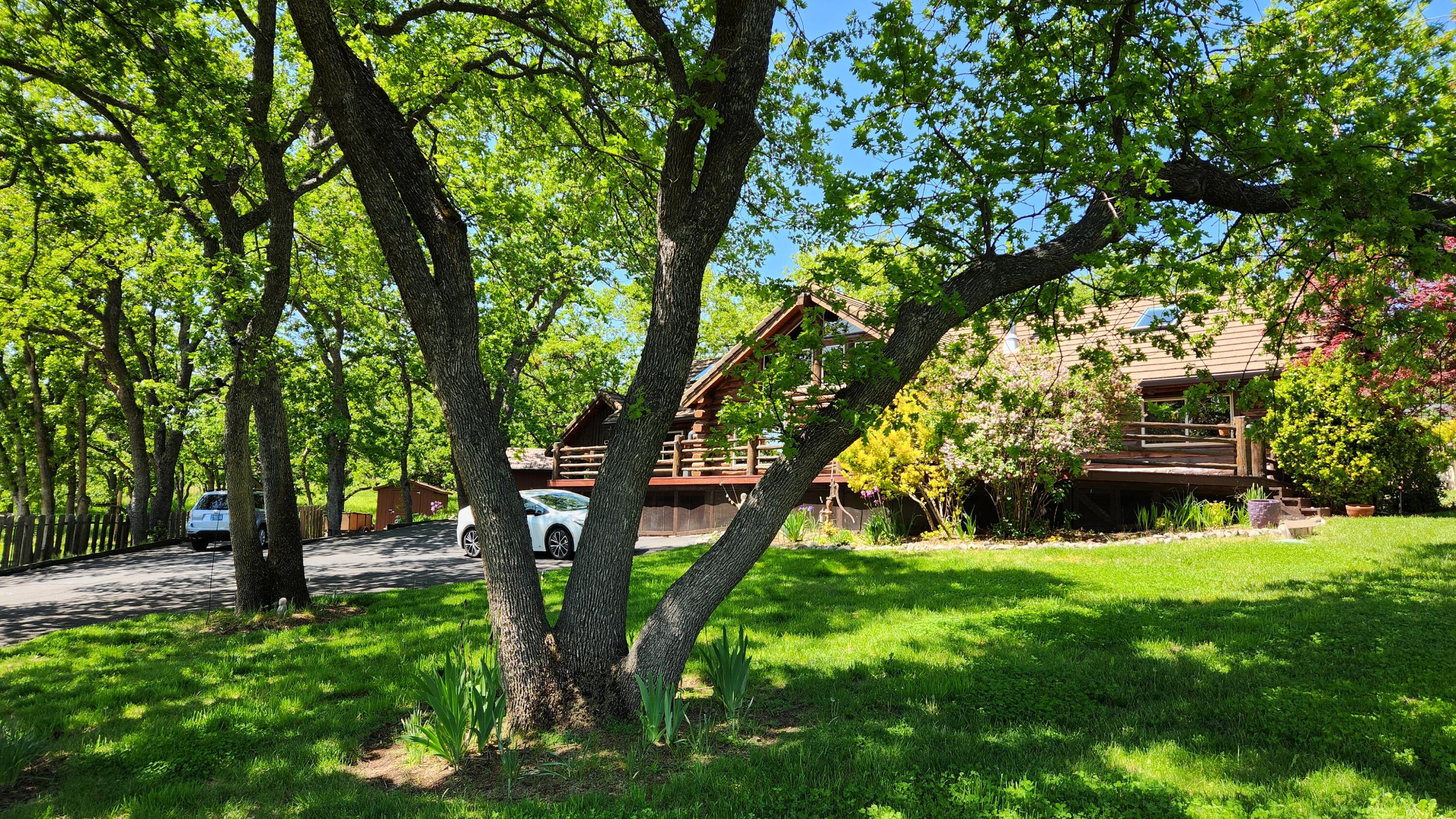 Nestled in a serene rural setting, yet close to Ashland, Medford & the Rogue Valley, this beautifully updated well-maintained home offers stunning views including Payne Cliffs & Mt Ashland. Bright & sunny interior features vaulted ceiling with exposed beams creating a grand airy space. Spacious island kitchen with granite, SS appliances, large pantry. Open floorplan w/two primary suites afford maximum energy efficiency from wood stove & mini-splits. Top quality Hunter Douglas window shades thru-out. Full-length front deck overlooks the valley. Ample parking w/30amp RV hookups. Powered outbuildings. Heated & A/C studio w/top quality glass garage door; use as a garage instead with no modifications needed! Almost $90K in improvements such as beautiful hickory hardwood floors, Mitsubishi Mini-splits, huge skylights, new water heater. Community water + TID. 1-yr home warranty. Peaceful surroundings, friendly neighborhood, move-in ready & packed with charm—this rare find is sure to impress!
