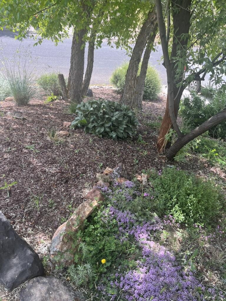 Klamath Falls -Nob Hill - Residential