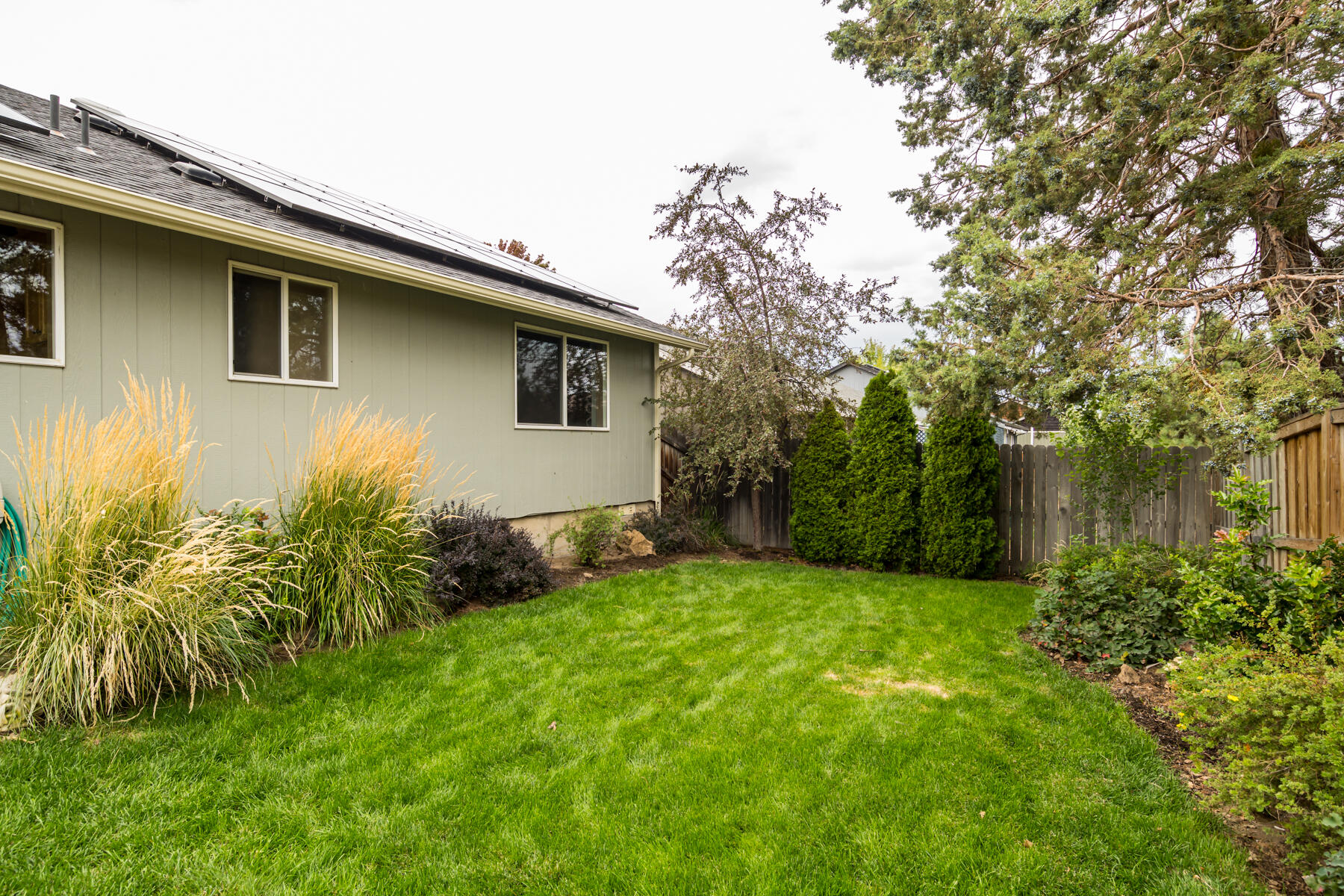 Chestnut Park - Residential