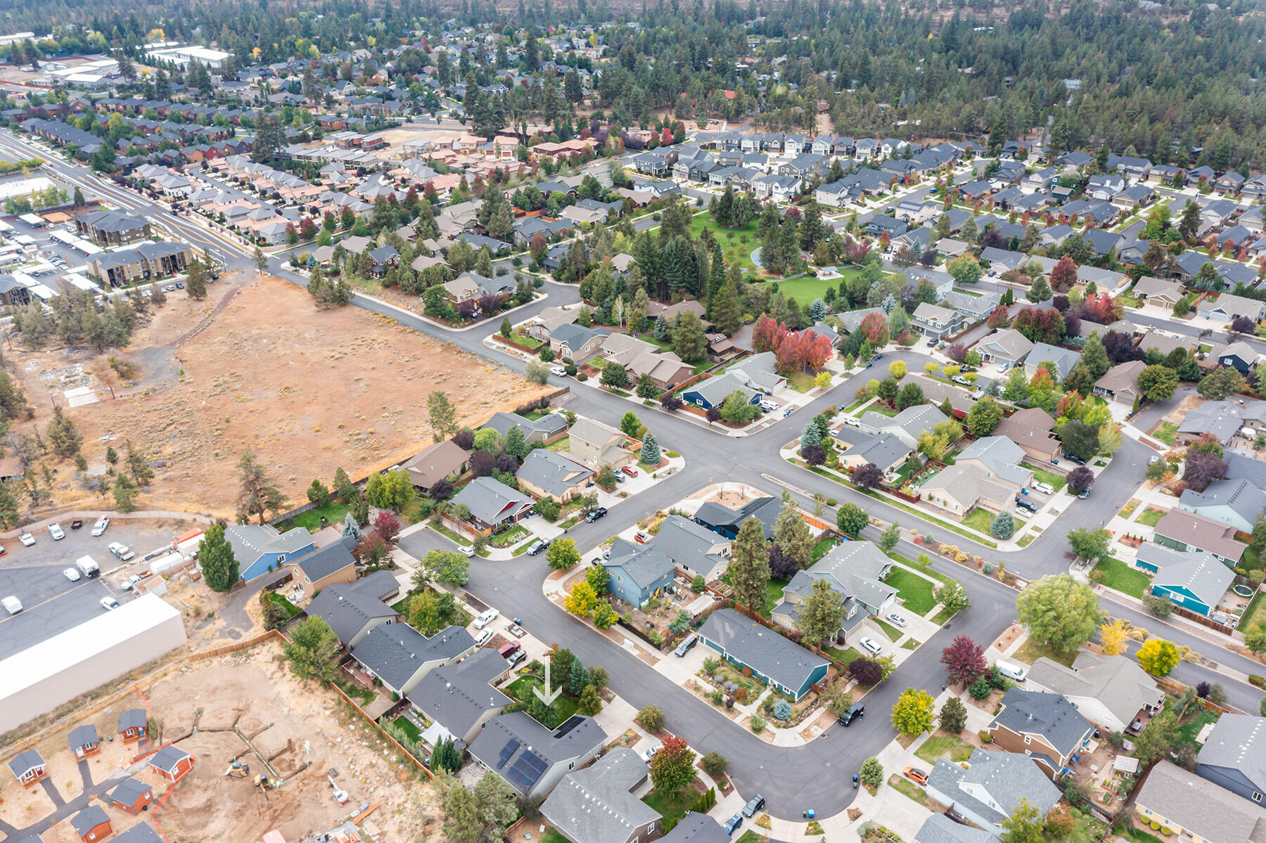 Chestnut Park - Residential