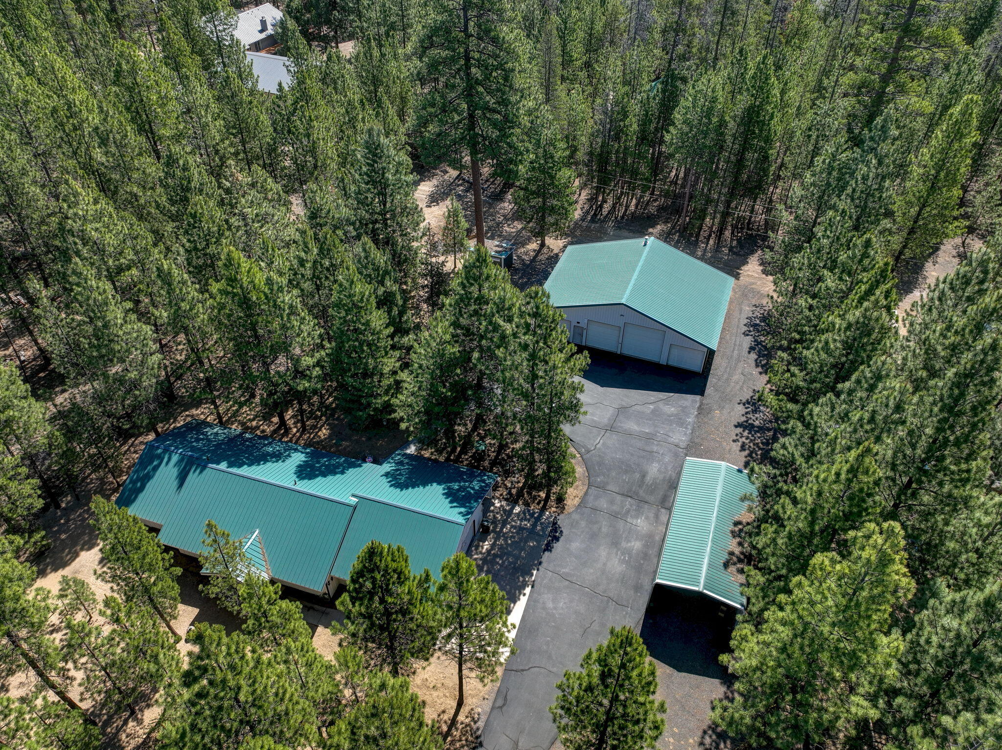 Ponderosa Pines - Residential