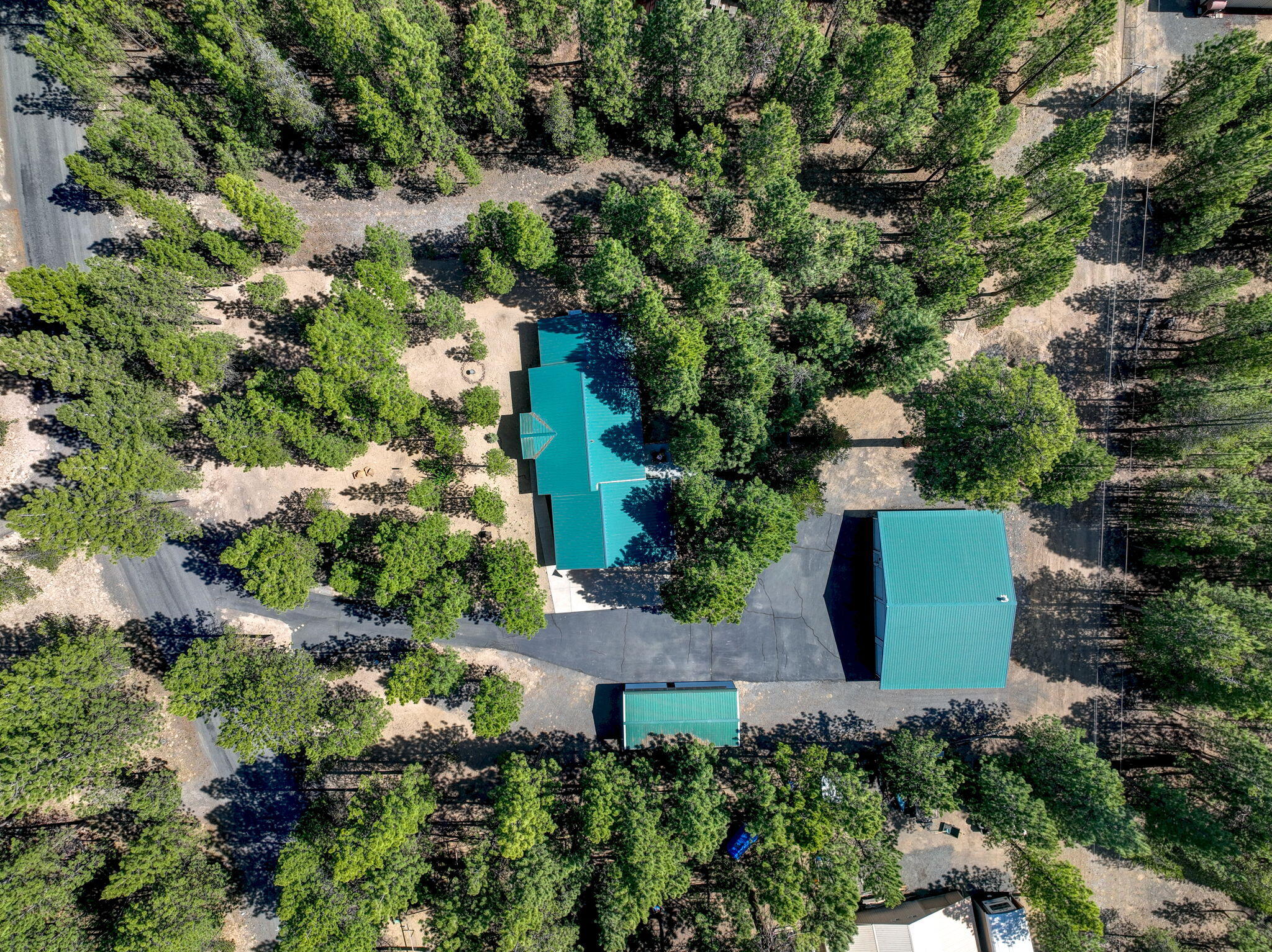 Ponderosa Pines - Residential