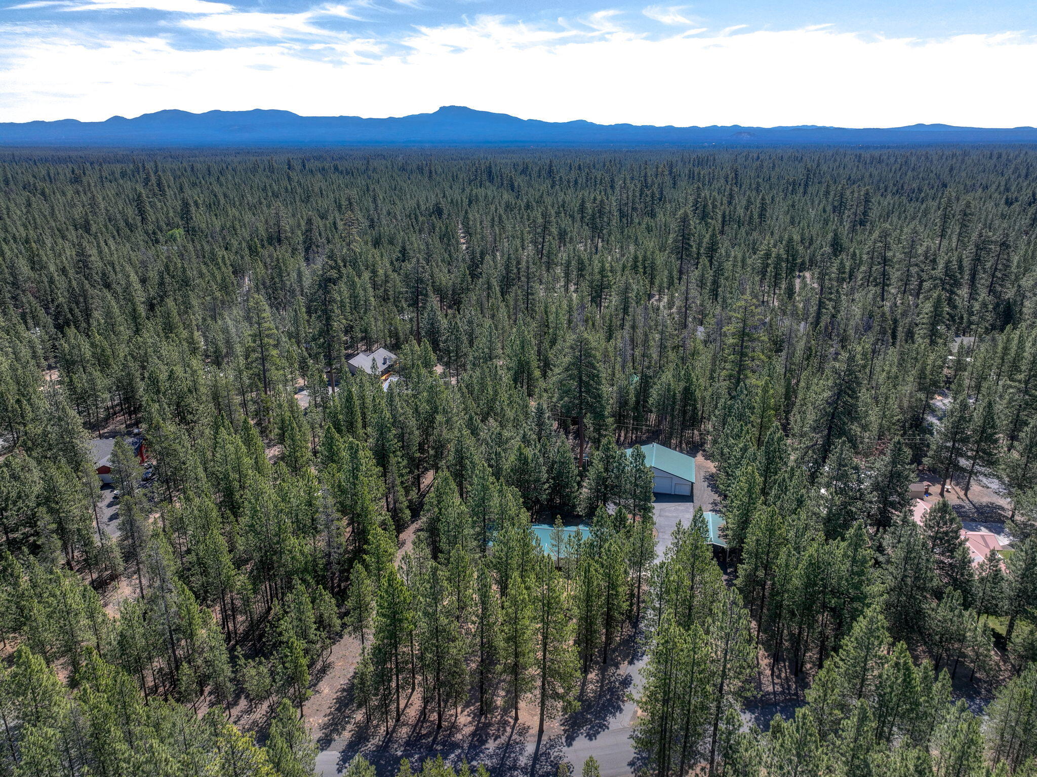 Ponderosa Pines - Residential