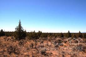 Beautiful buildable lot on 14.3 acres. Motivated seller. Come build a home close to recreation in beautiful Central Oregon. Horse and ATV friendly.