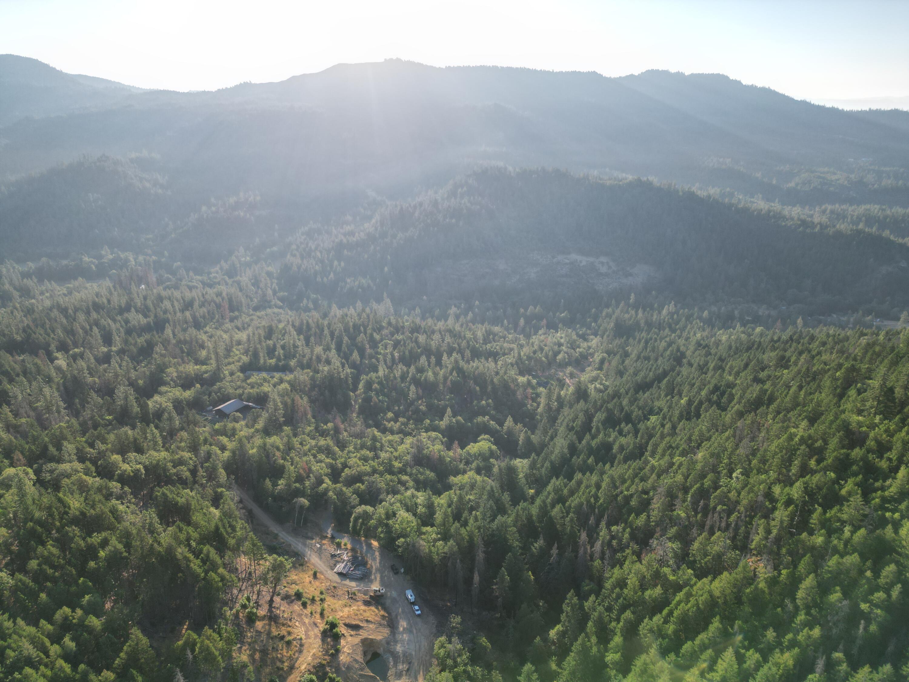 Discover 471 acres of forested land just 15 miles NE of Gold Hill and minutes from Medford International Airport. Zoned Forest Resource, this expansive property offers a rare mix of timber value, recreational opportunity, and a potential homesite with sweeping views. Elevations from 2,000-3,000 ft provide varied terrain and expansive vistas, while a network of logging roads supports access and management. A dedicated easement from East Evans Creek Road ensures reliable entry. Adjoining BLM land to the west and southwest enhances privacy and
outdoor potential. Approximately 100 acres are in need of reforestation, with the balance holding an estimated 1.1 MBF (per seller) of timber. With its desirable location, natural resources, and
retreat-like setting, this property presents a unique investment and lifestyle opportunity—ready for those seeking both legacy and adventure.