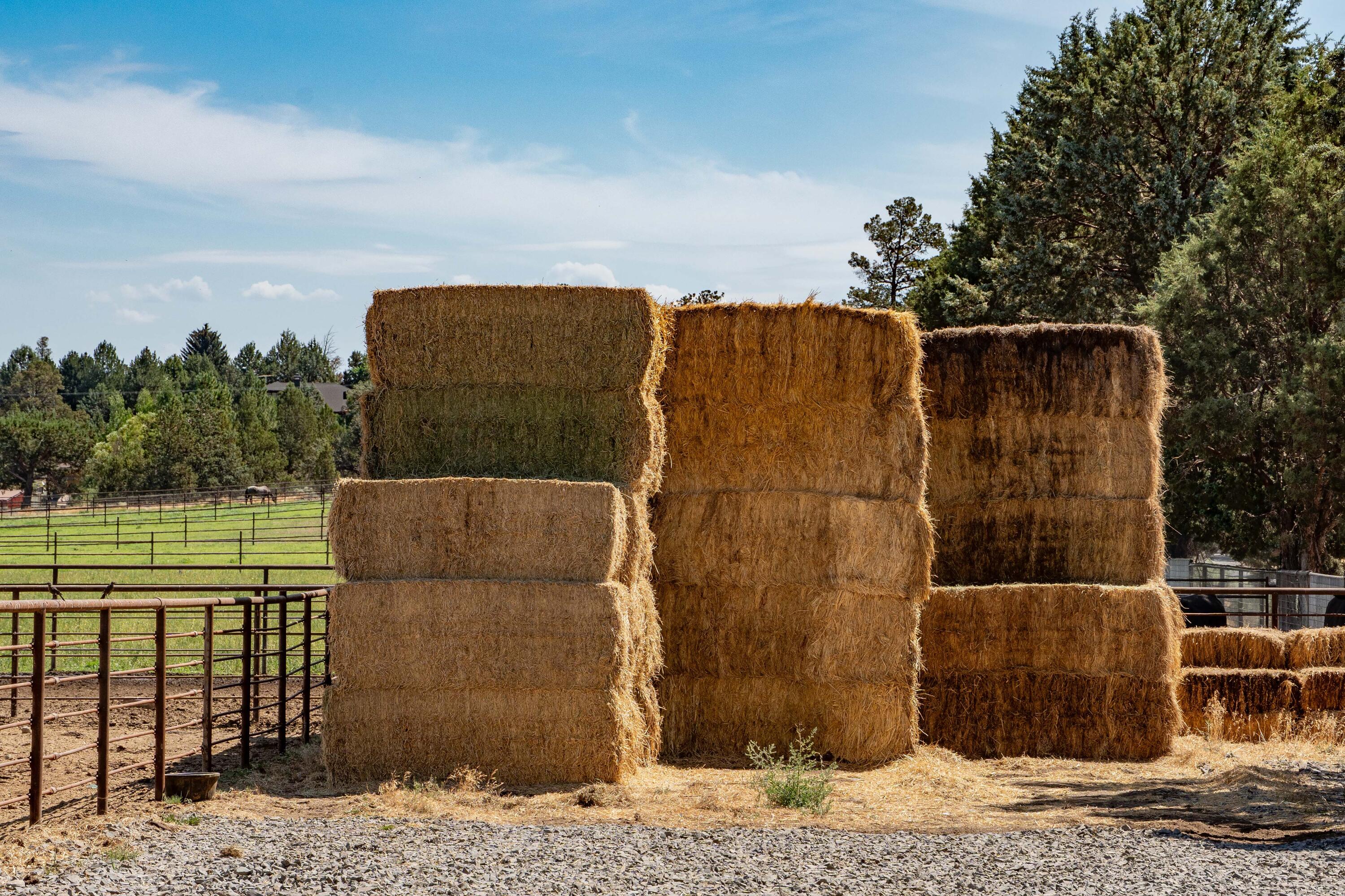 N/A - Farm