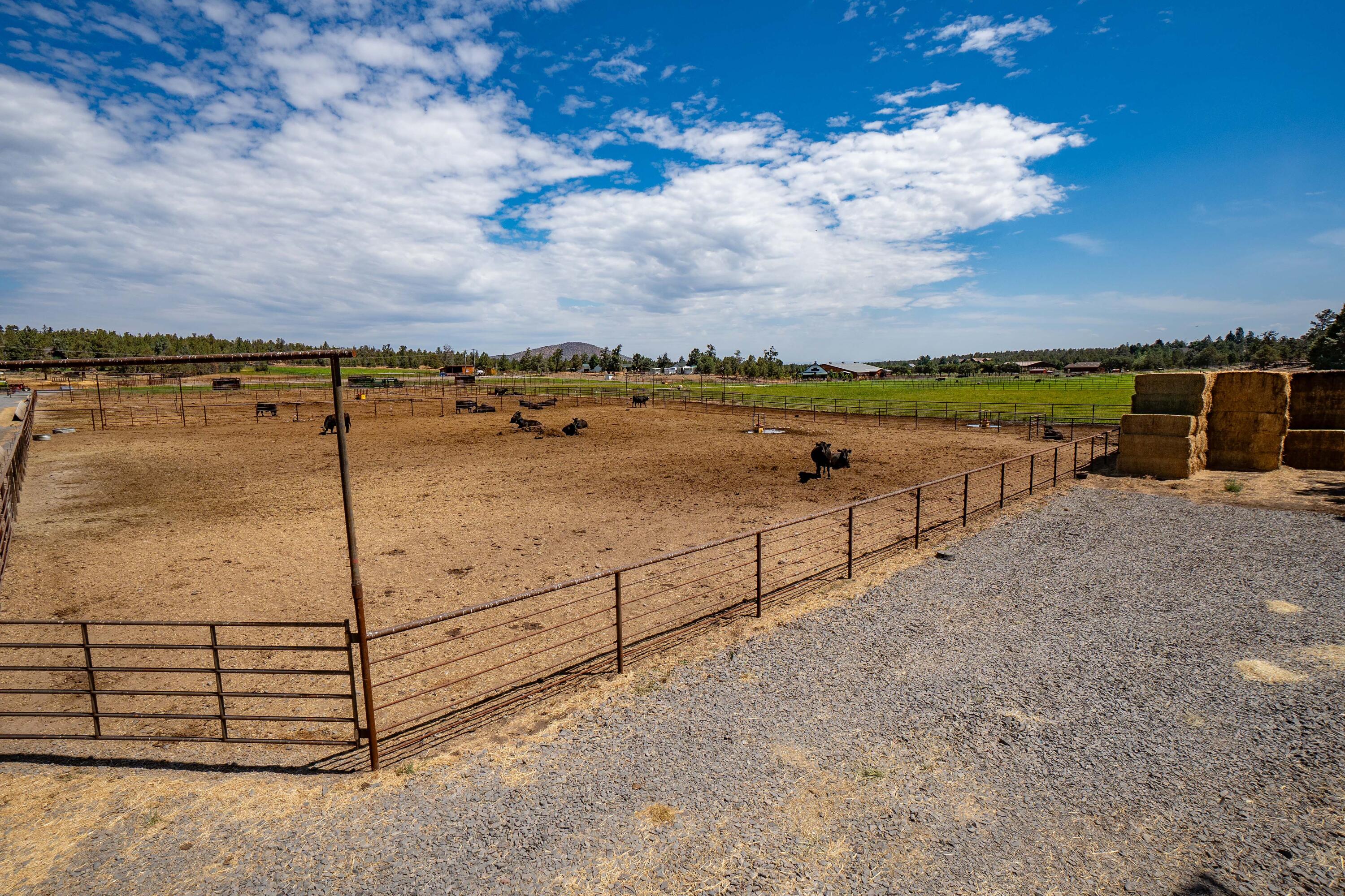 N/A - Farm