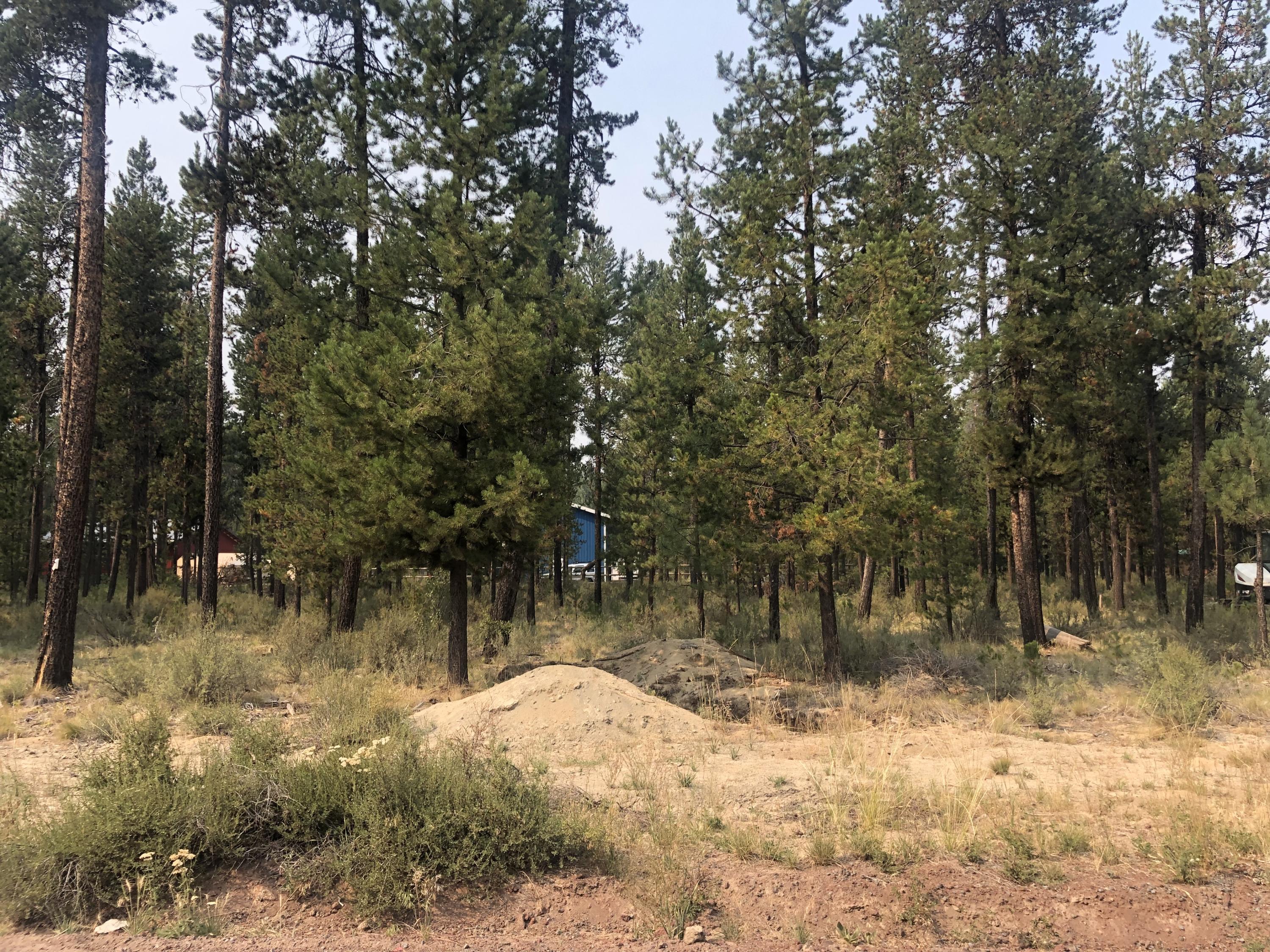 This buildable, level, 1/2-acre lot is septic feasibility approved, come build your dream home! It's located near Sunriver Resort, the Deschutes River, Mt. Bachelor and is only 25 minutes from Bend. Enjoy all that Central Oregon has to offer!