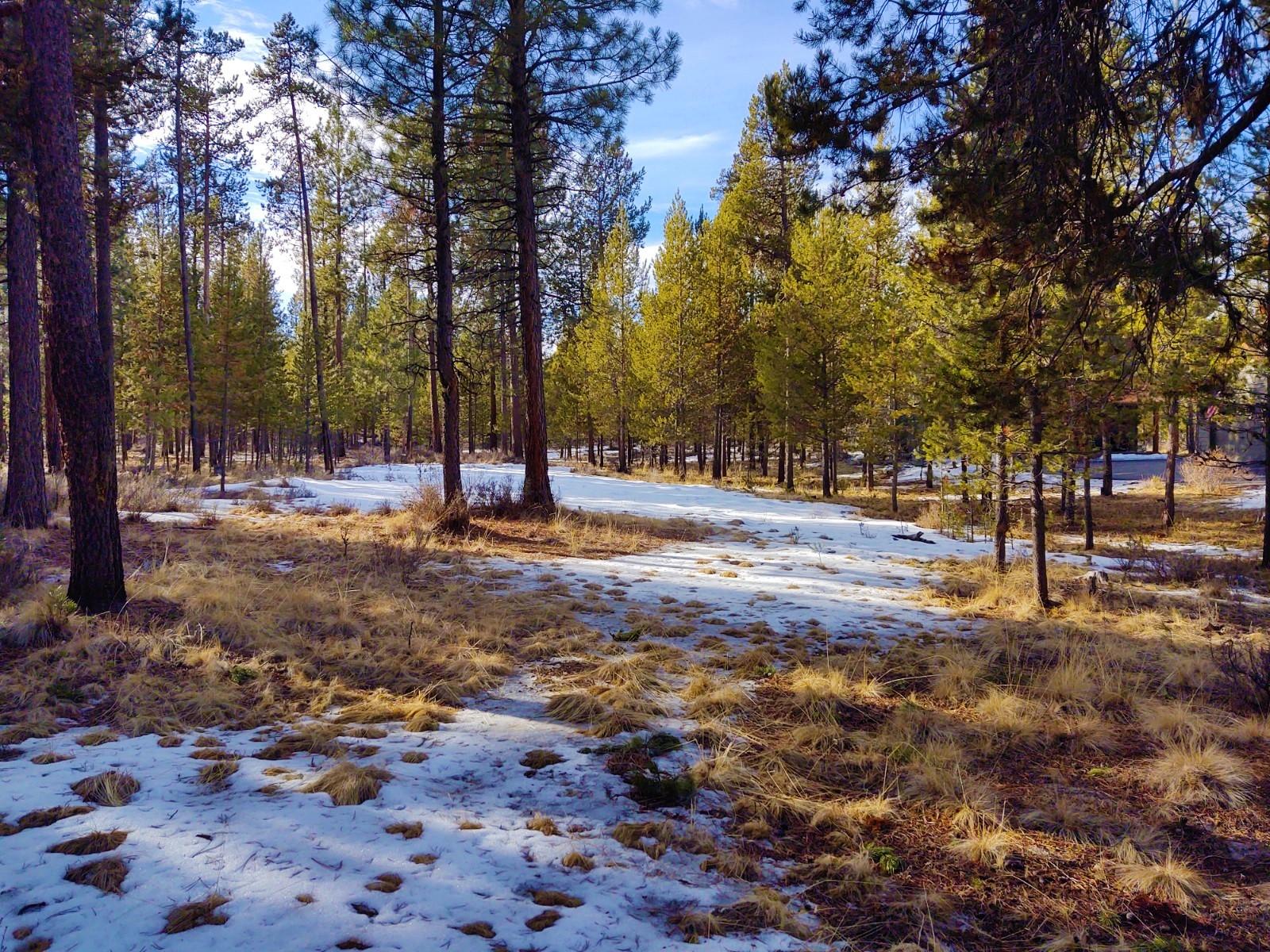 Deschutes River Ranc - Land