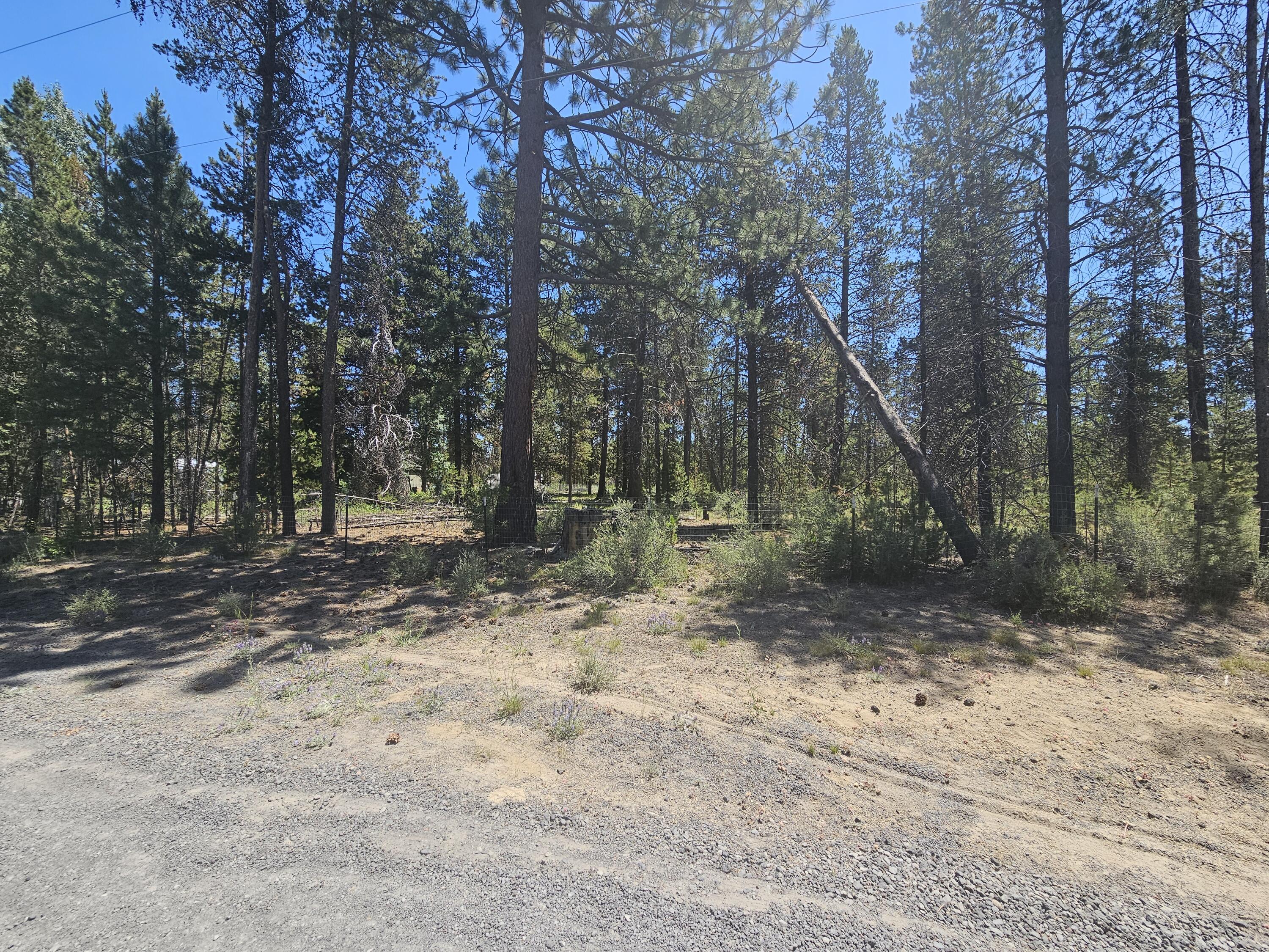 River Pine Estates - Land