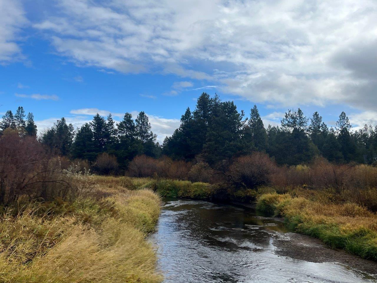 Lapine Acres - Land