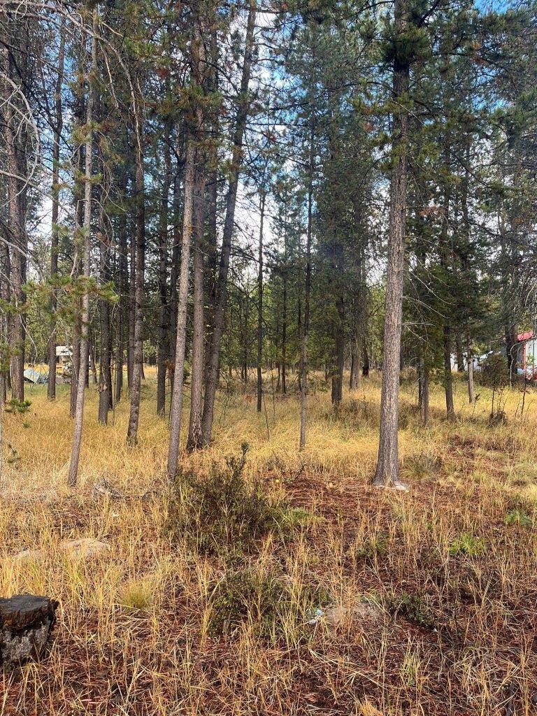 Lapine Acres - Land