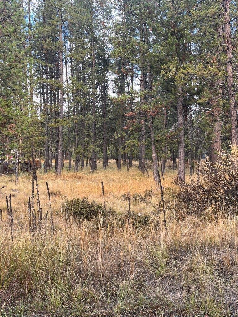 Lapine Acres - Land