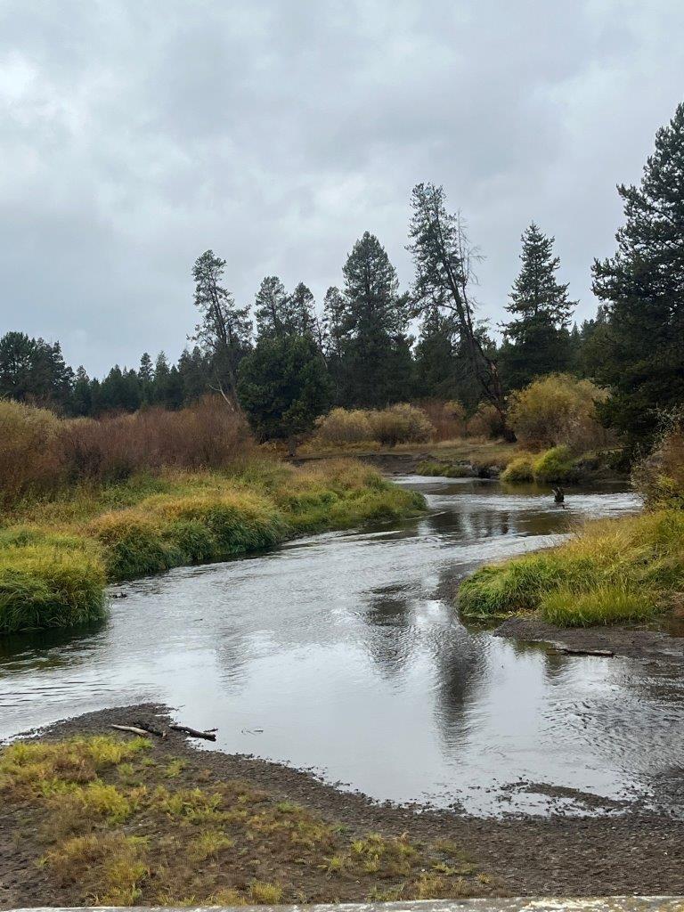 Lapine Acres - Land