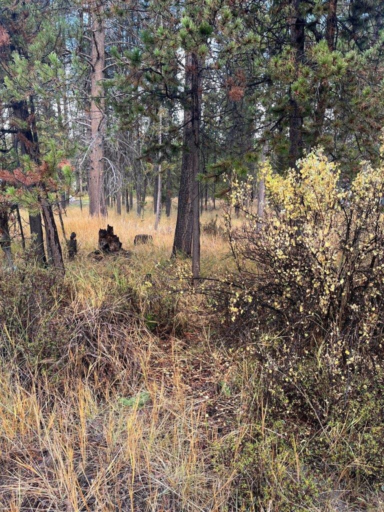 Lapine Acres - Land