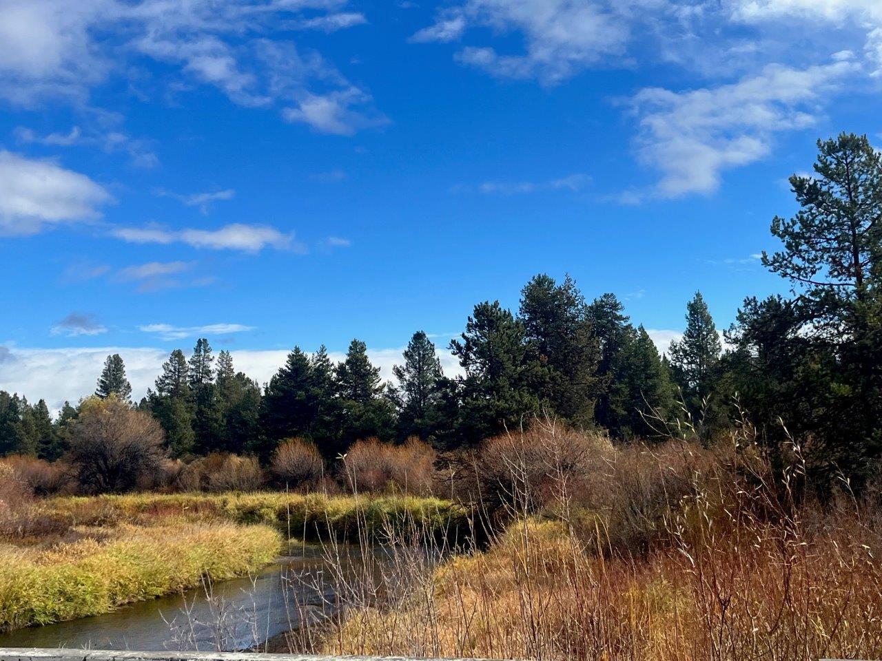 Lapine Acres - Land