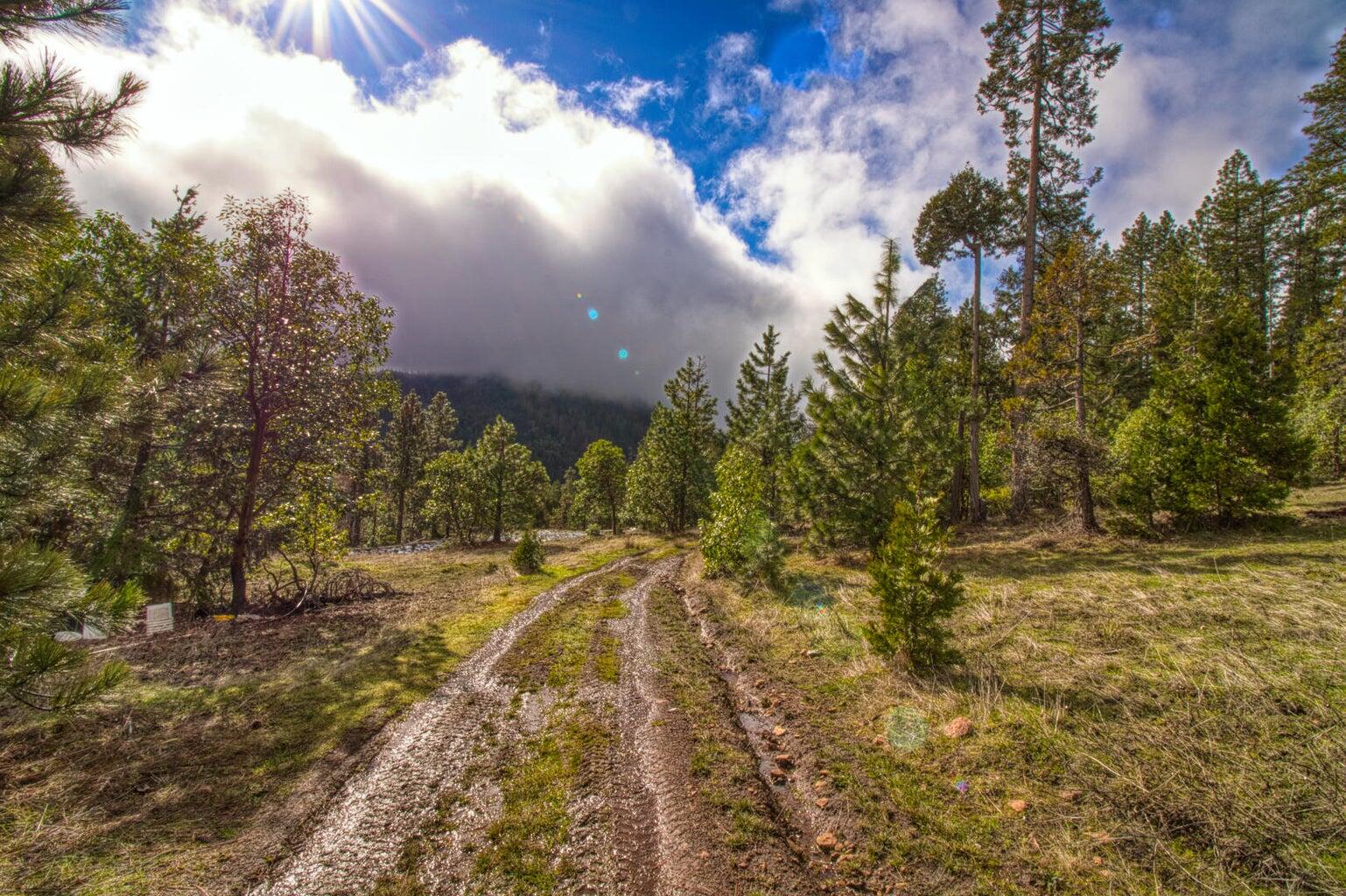 8 miles up jump off joe creek road
This exceptional 15+ acre property features generous flat expanses with trails and roads already cut in. Located in a picturesque Pacific Northwest setting, the land offers breathtaking views and a serene ambiance at an amazing price. OWNER CARRY POSSIBLE