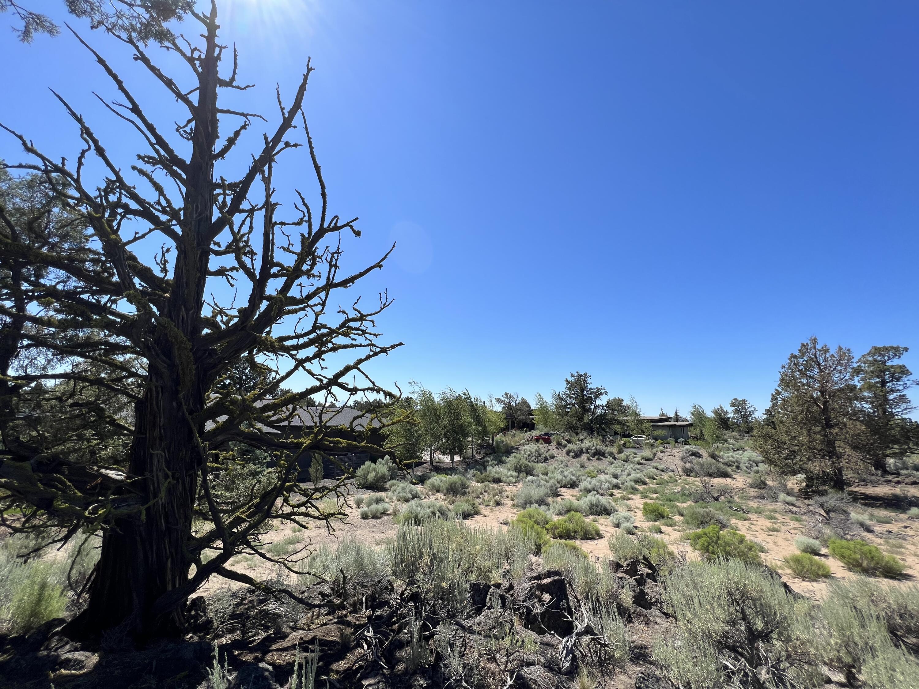 This Four Peaks lot is close to all the resort action AND allows smaller sq foot homes & nightly rental. Level lot #333 with a stunning ghost tree rock outcropping. This .24 acre lot backs to common area makes it feel like a much larger lot. Mountain peak and golf course views of both Tom Fazio 18th fairway and Jack Nicklaus 16th.  Privacy yet easy access to all the resort amenities just steps away. $35,000 toward Pronghorn Premiere Club membership included. Boasts TWO world class, international ranked in Top 100 resort golf courses, a food market, fitness/wellness spa facilities, Members lounge, 3+ restaurant options, hotel and nightly stay facilities, Pickle Ball and other courts.  Adventure options, airport and snow resort shuttle + so much more!  BLM lands surround and irrigation canal for endless mountain bike or hiking. Approved builders readily available.  Owner is a licensed real estate agent in Oregon.