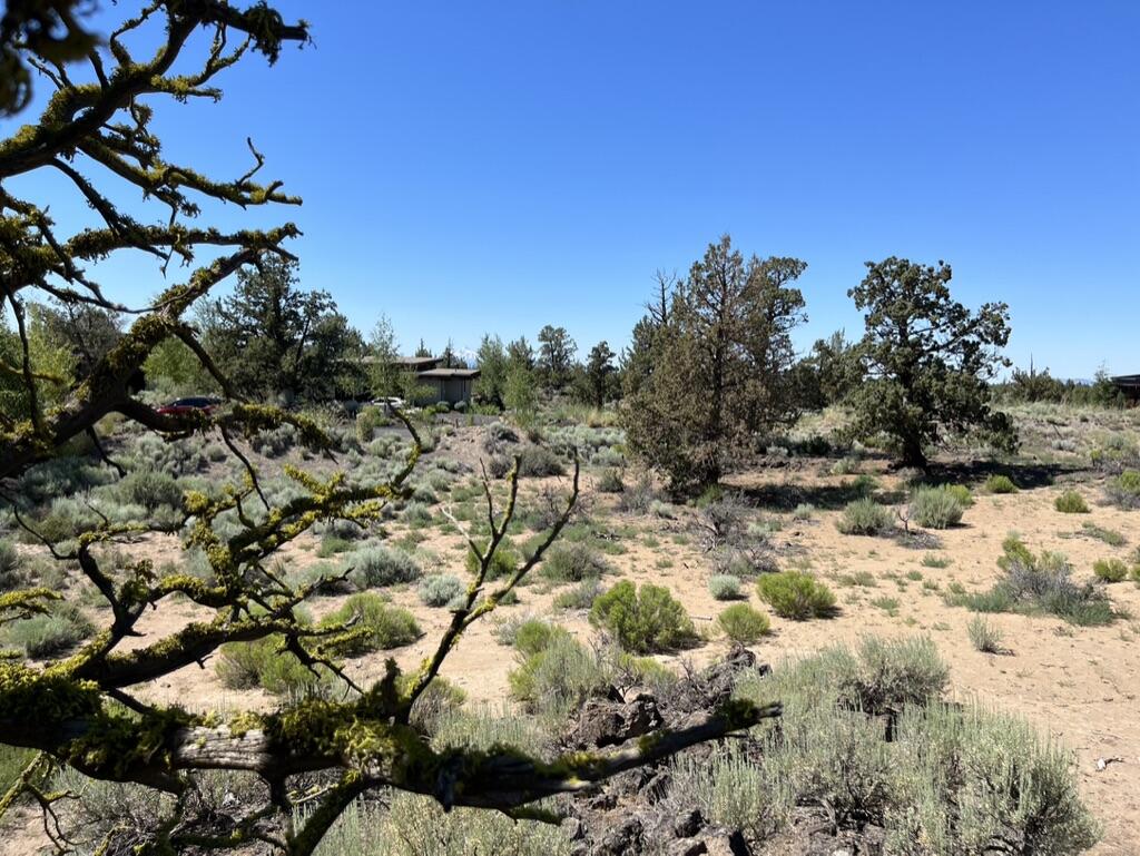 Pronghorn - Land