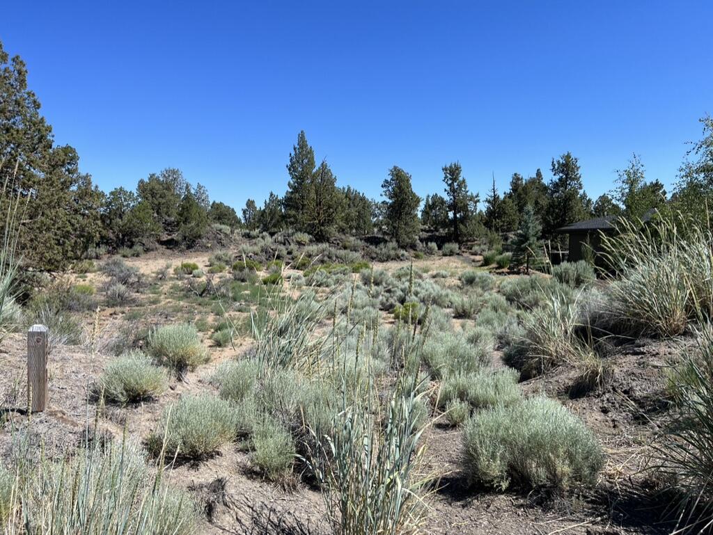 Pronghorn - Land