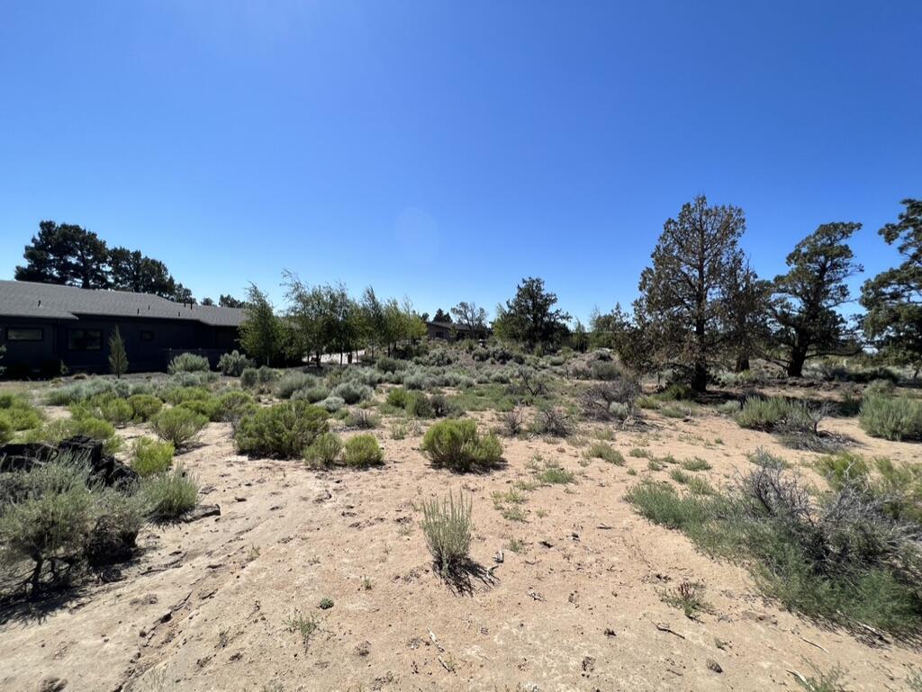 Pronghorn - Land