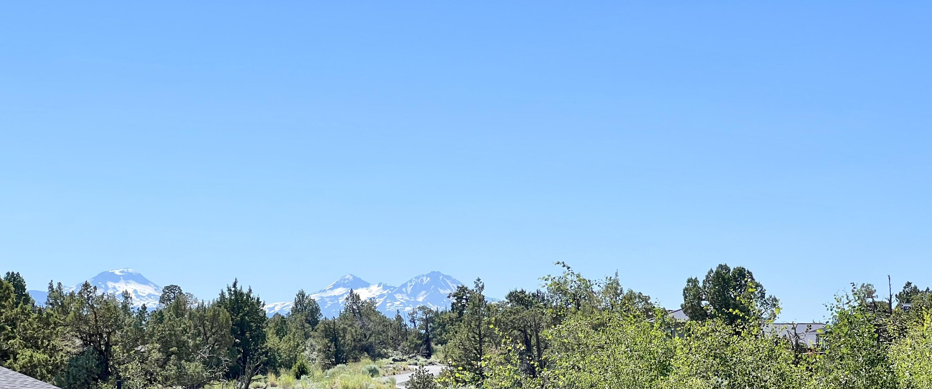 Pronghorn - Land