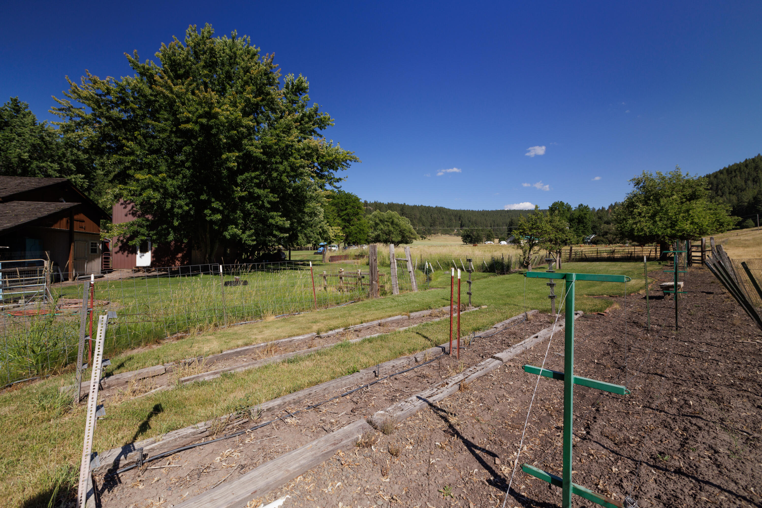 N/A - Farm
