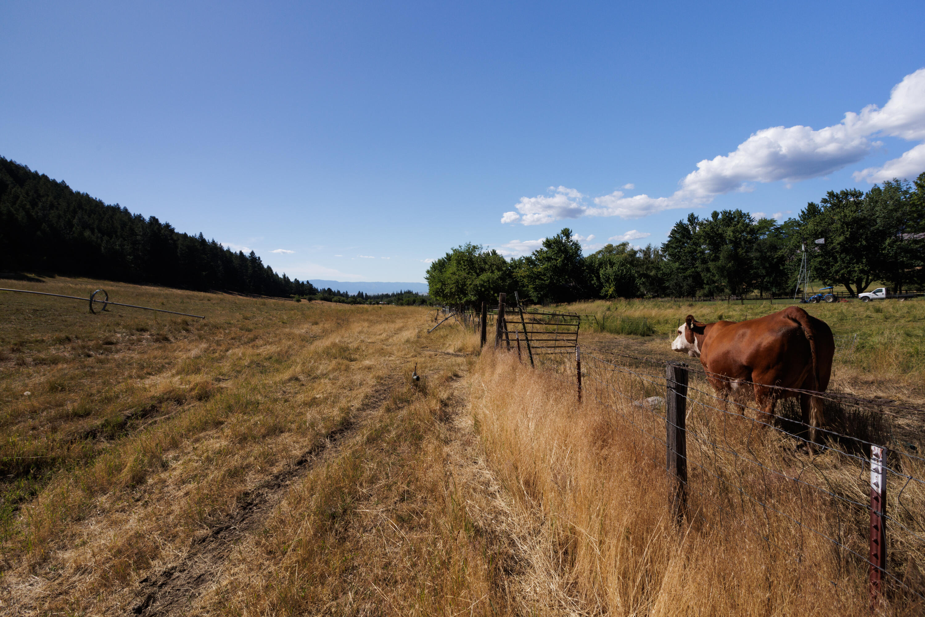 N/A - Farm