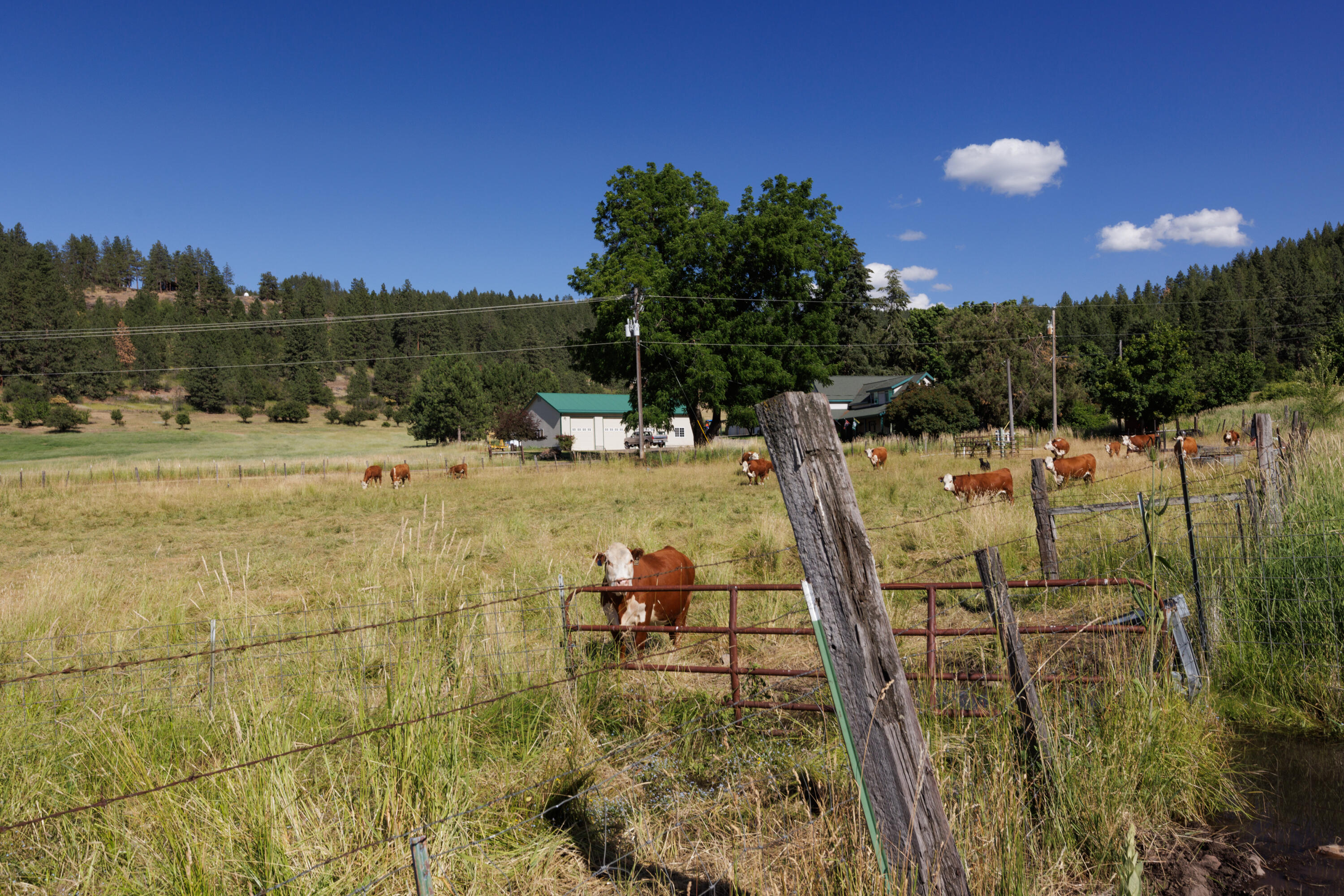 N/A - Farm