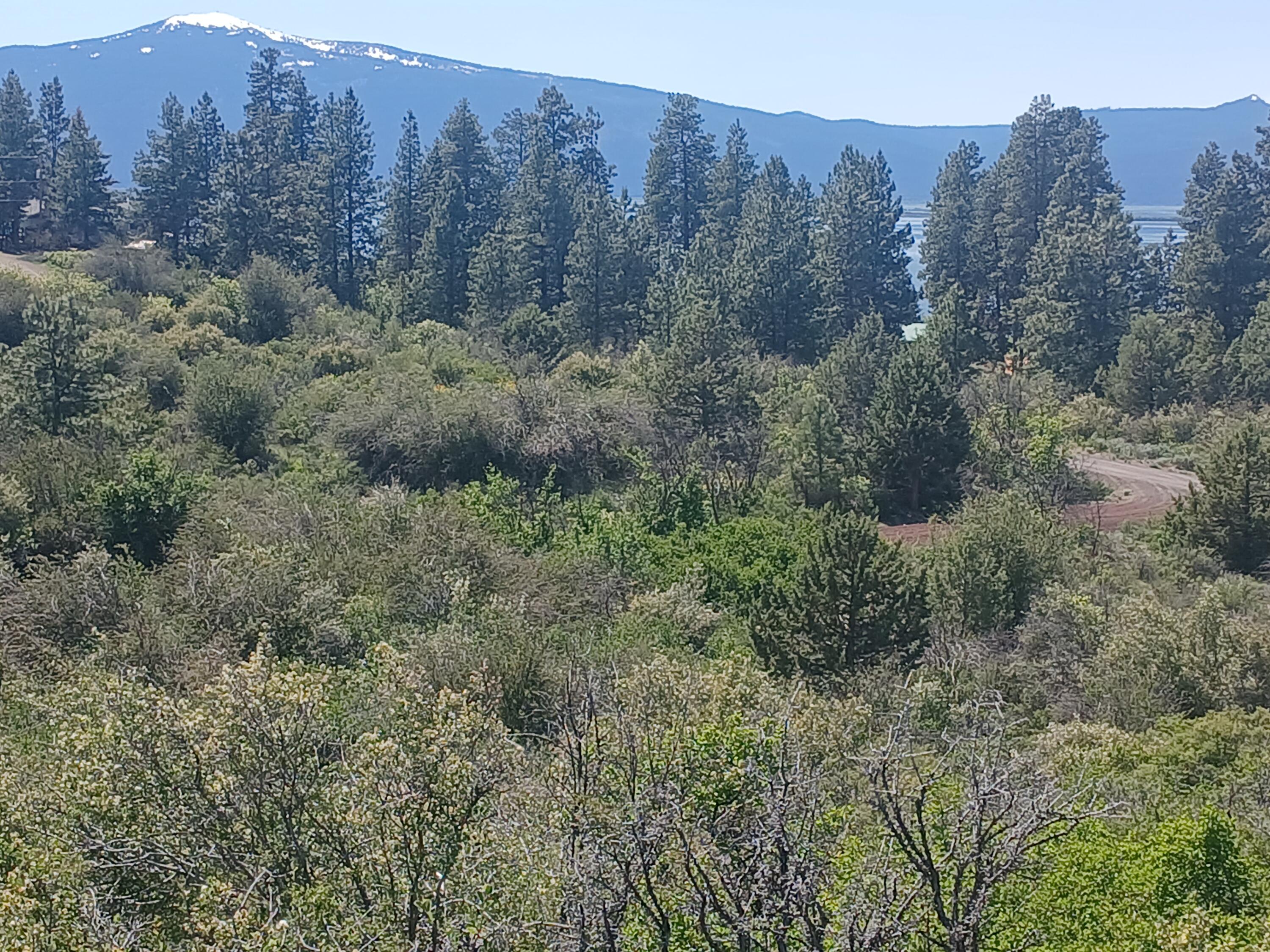Oregon Shores - Land