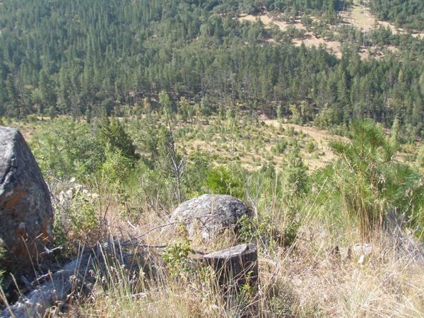 158 acres in Southern Oregon. Prime hunting ground for Blacktail deer, elk and wild turkey. Property borders BLM on two sides.
