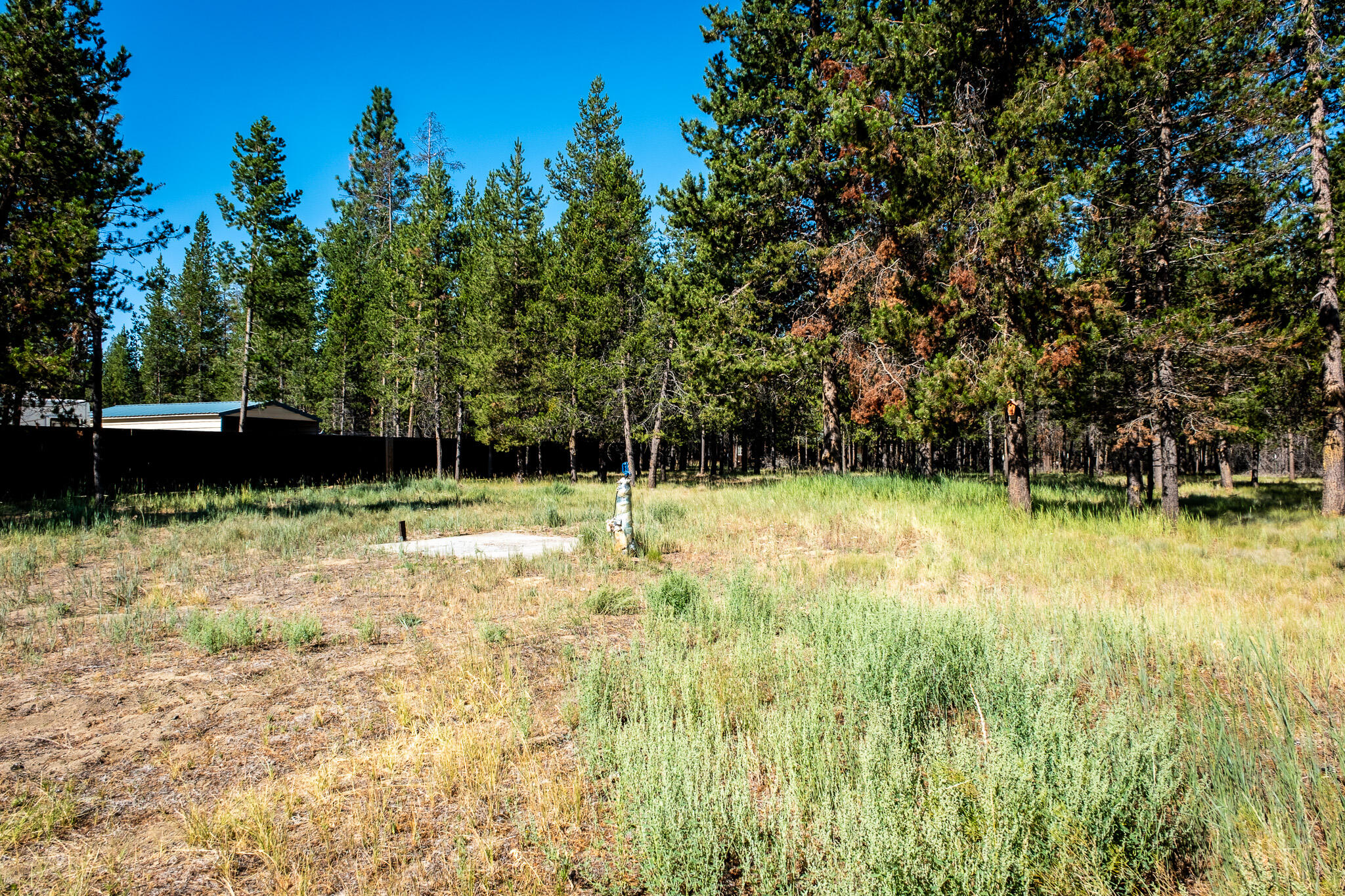 Woodland Park - Residential