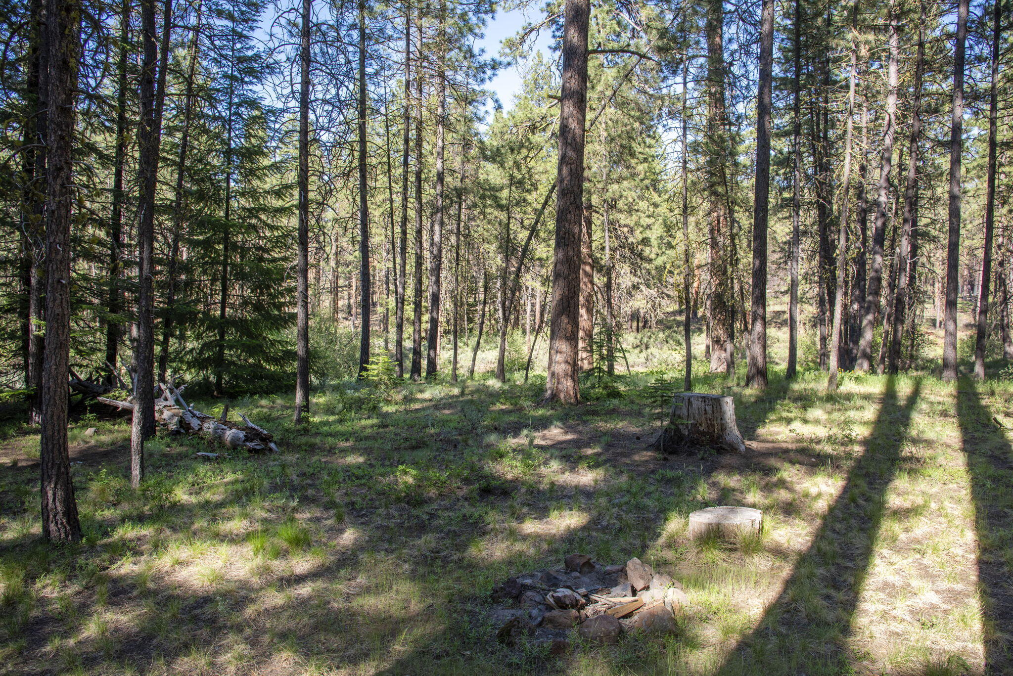 Camp Sherman - Land