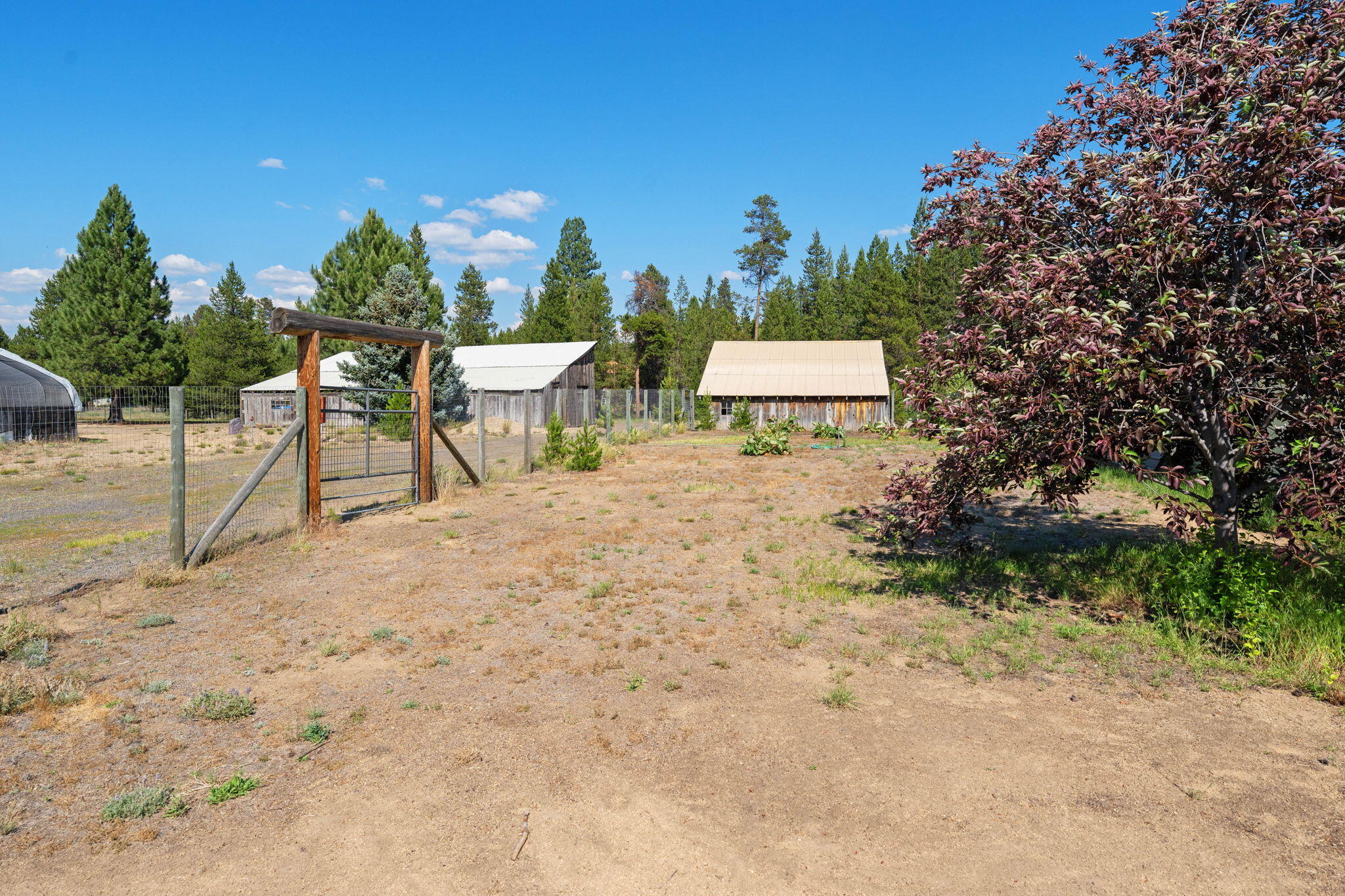 Roan Park - Residential