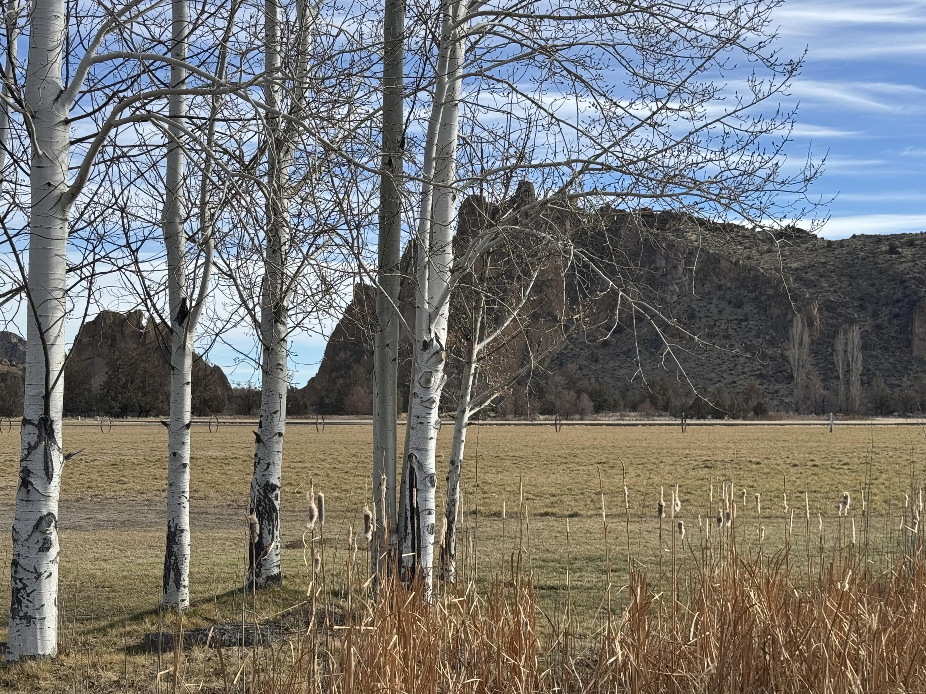 Ranch at the Canyons - Residential