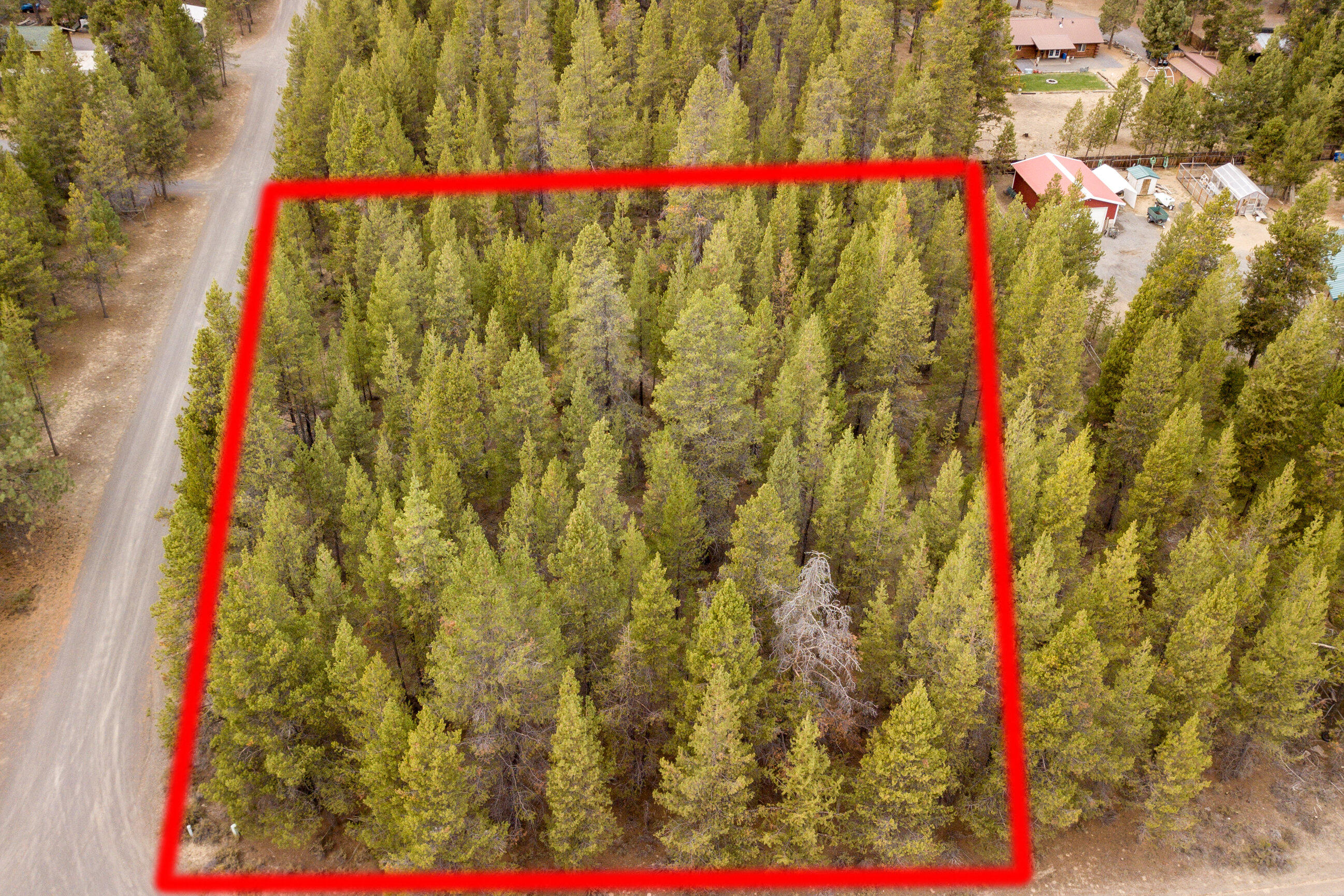 Forest View - Land