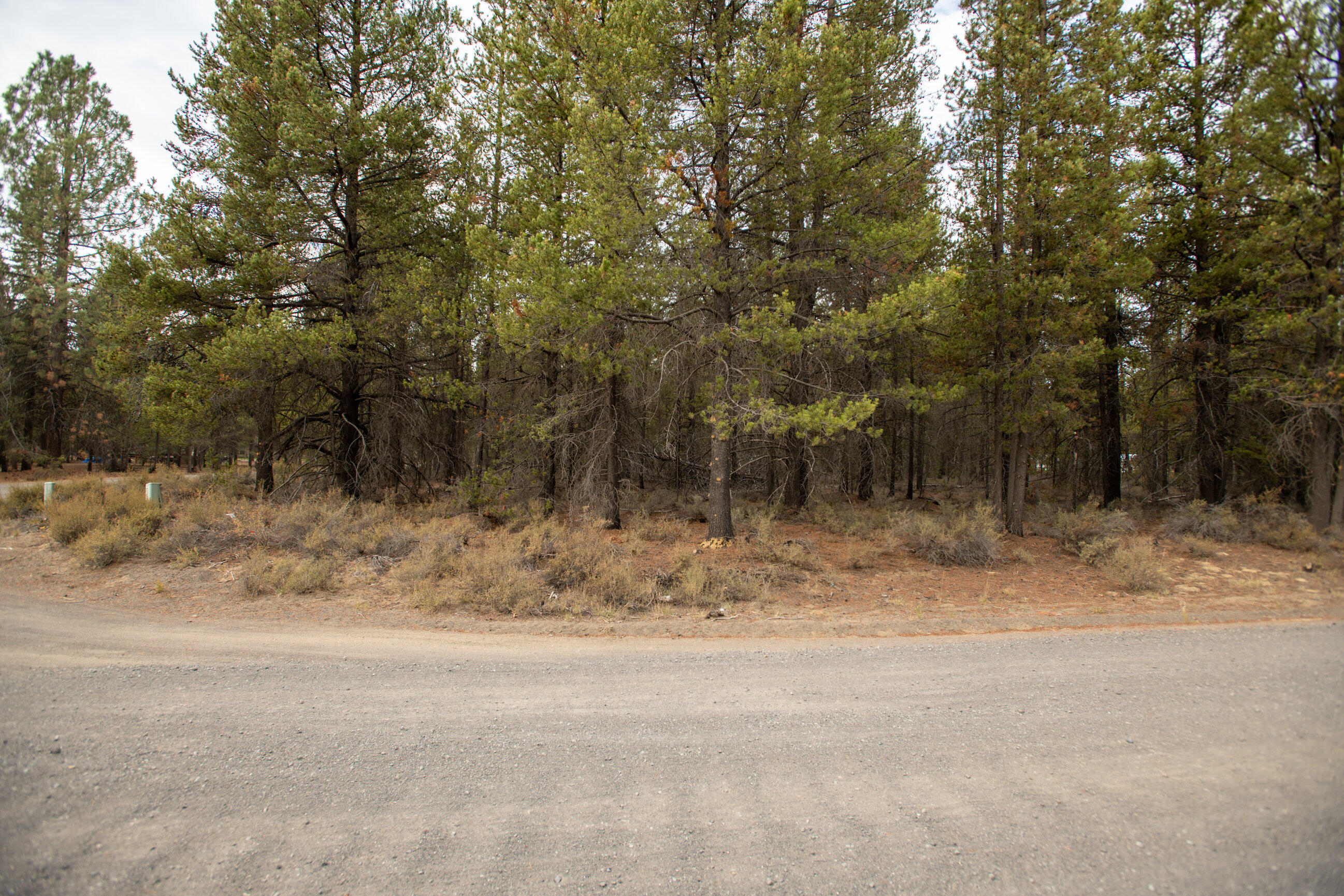 Forest View - Land