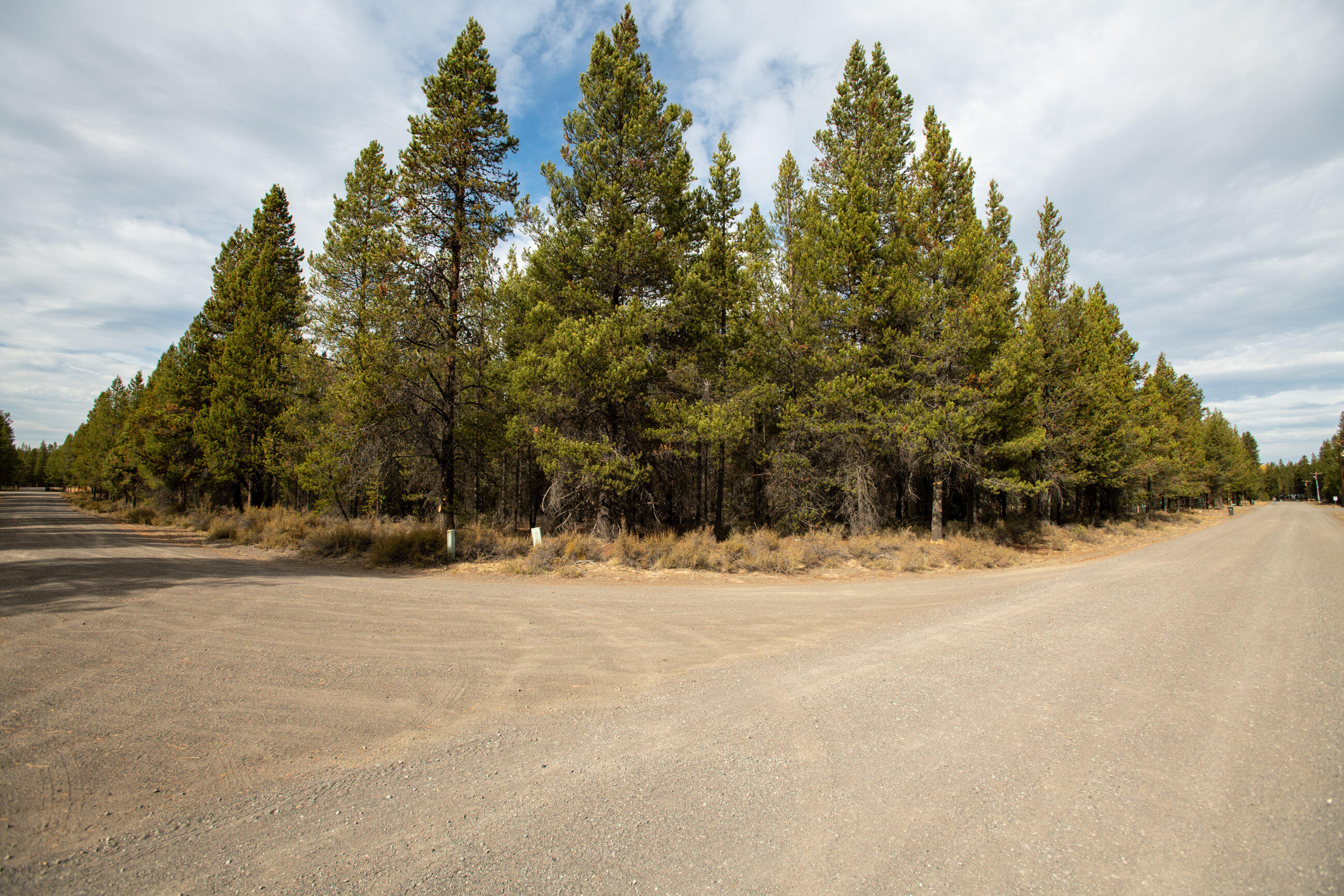 Forest View - Land