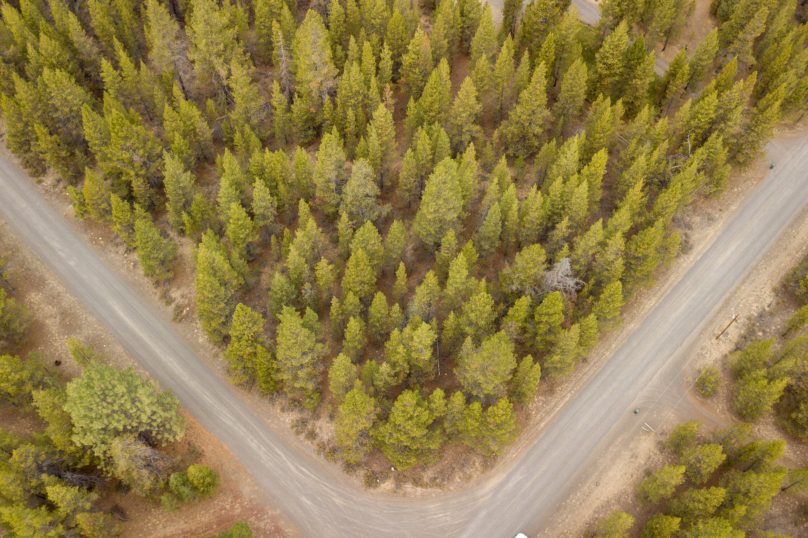 Forest View - Land