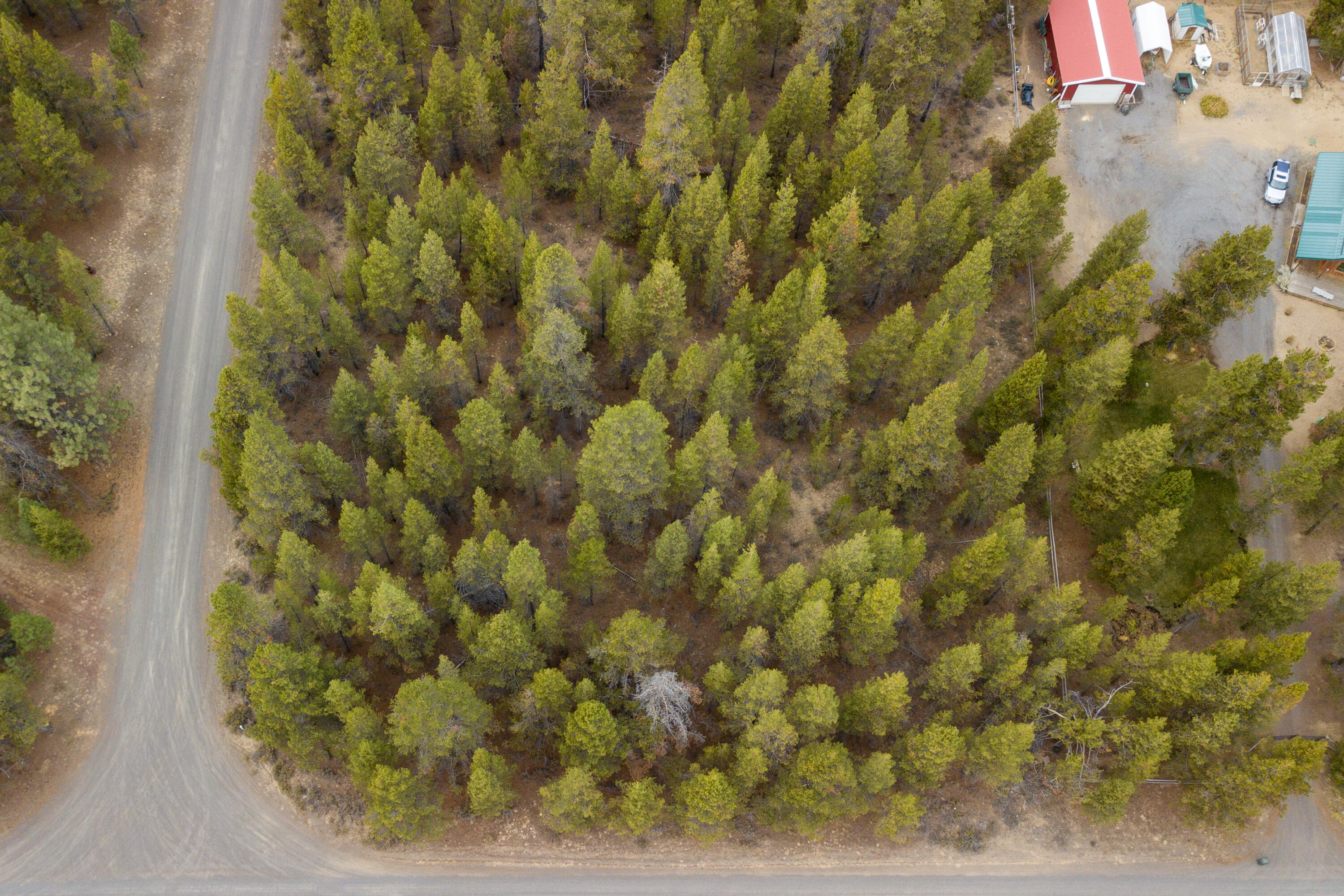 Forest View - Land