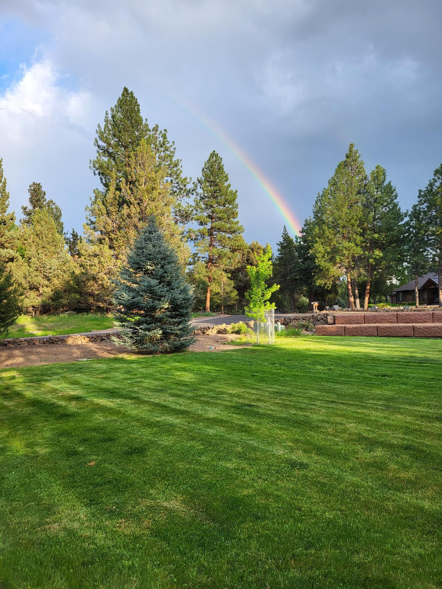 Kings Forest - Residential