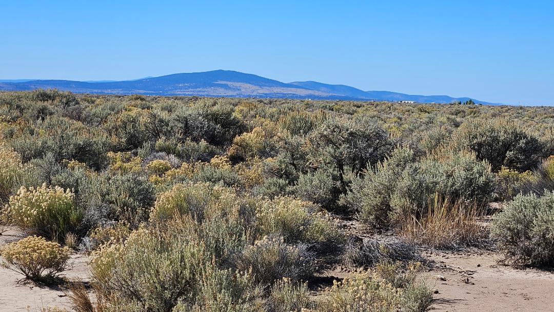 Enjoy the views of the Black Hills, Tablerock Mountain and many other Mountain ranges. Don't miss the beautiful desert Sunrises and Sunsets from your 20 acre parcel. With a Conditional use permit you can make this your new Homestead.  Private yet has decent access. Get out of the city and enjoy life in this small farming community. With lots of activities from ATV on the Sand Dunes. Play a round of golf. Go hiking and exploring on the Thousands of acres of BLM or visit the many geographic sites like Crack in the ground or Fort Rock. Come visit the Oregon Outback and consider it for a new home or Getaway